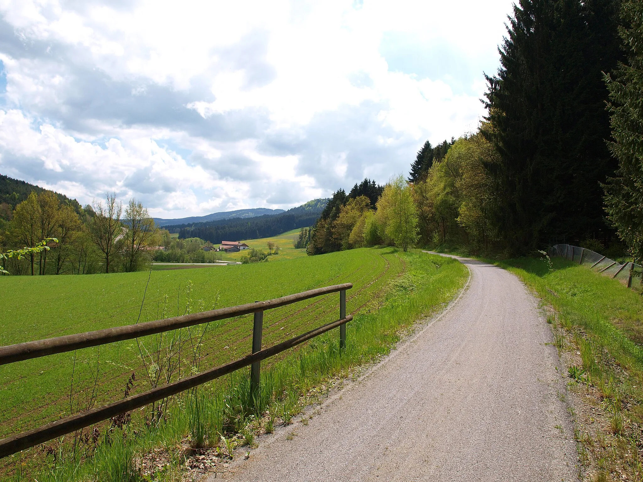 Photo showing: Radweg nahe Baumgarten