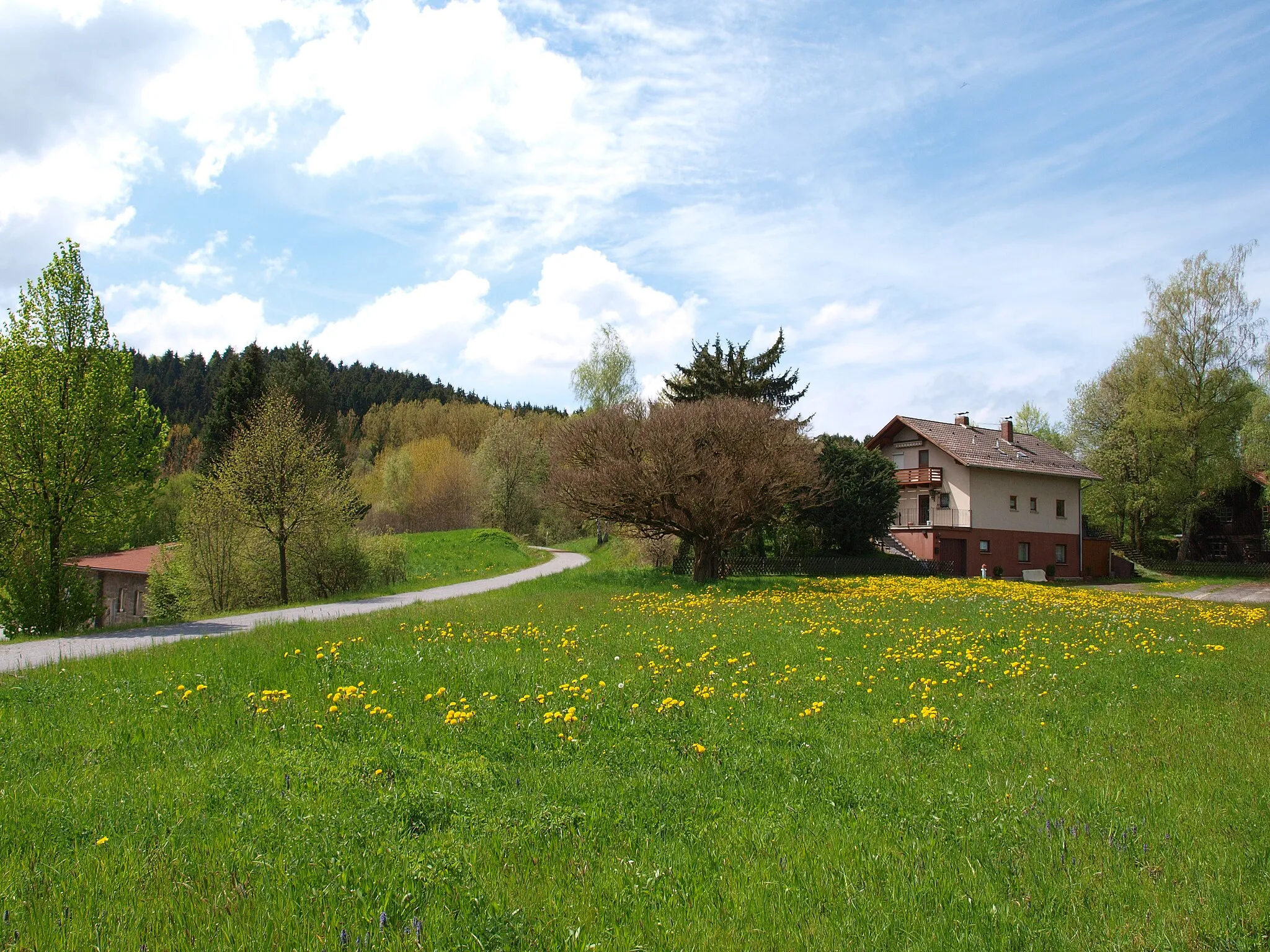 Photo showing: Radweg bei Wies