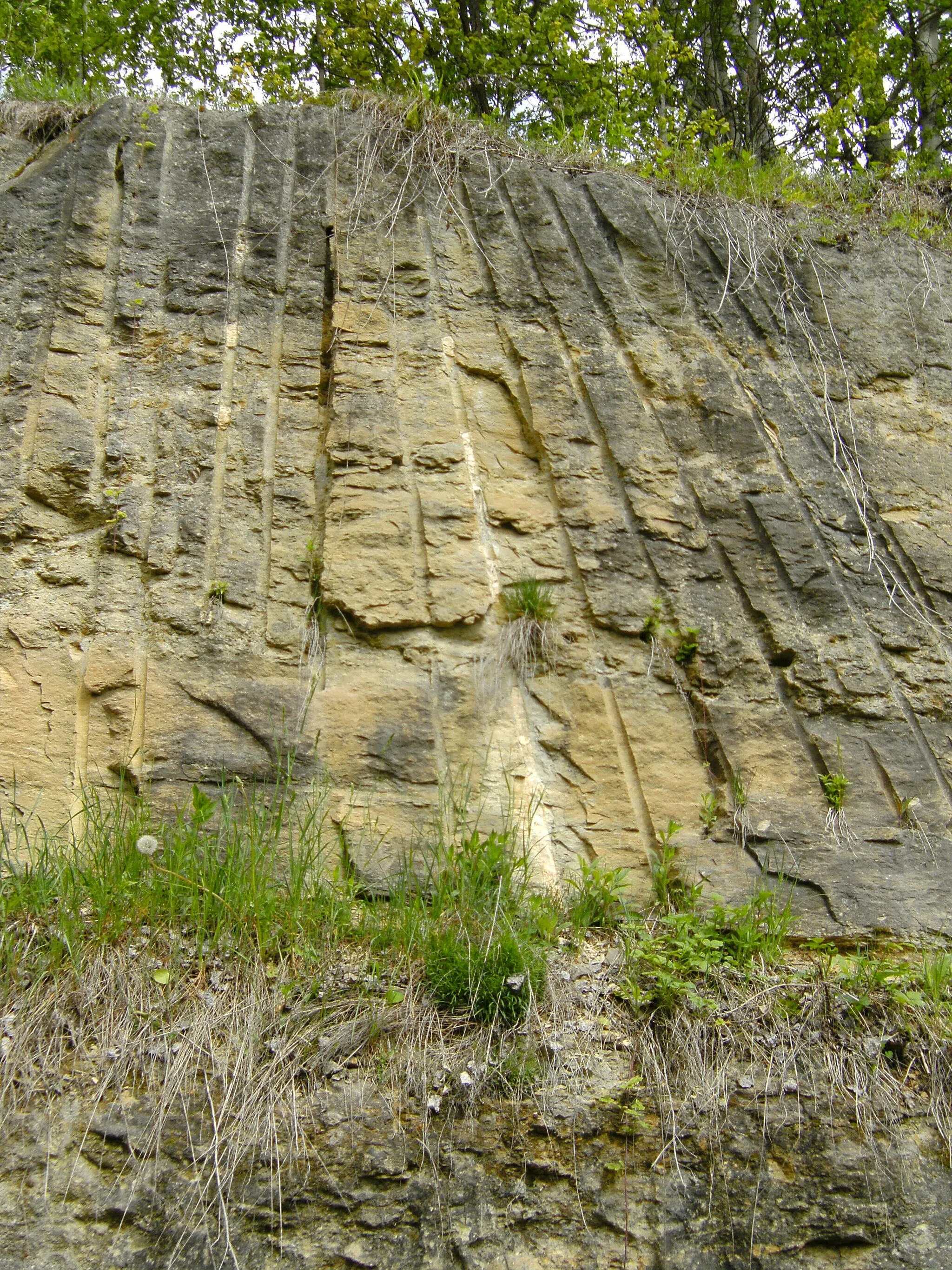 Photo showing: Grünsandstein-Bruch bei Ihrlerstein (Bayern)