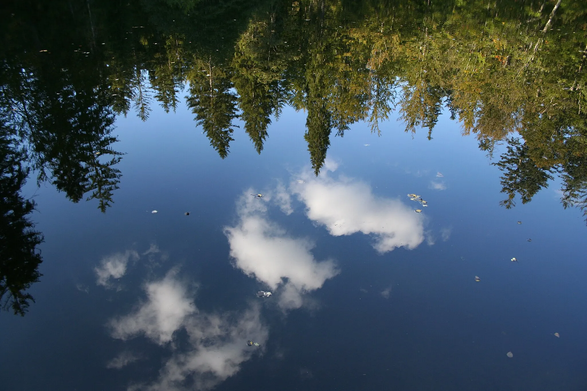 Photo showing: Spiegelung von Wald und Himmel im Wasser der Knottenbachklause im Nationalpark Bayerischer Wald nahe Altschönau (Neuschönau).