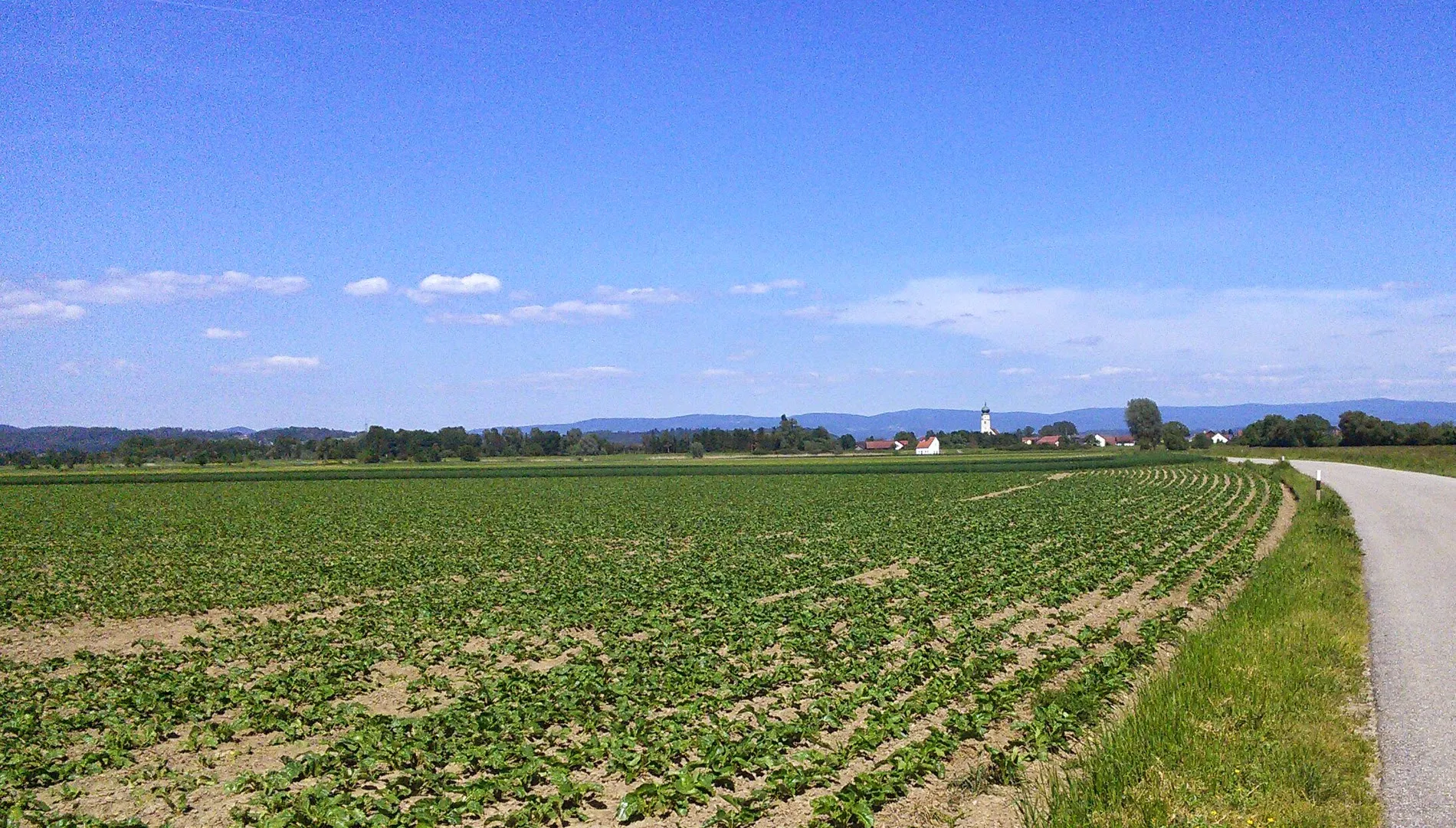 Photo showing: Kößnach, Bavaria, Germany. In the background the Böhmerwald.