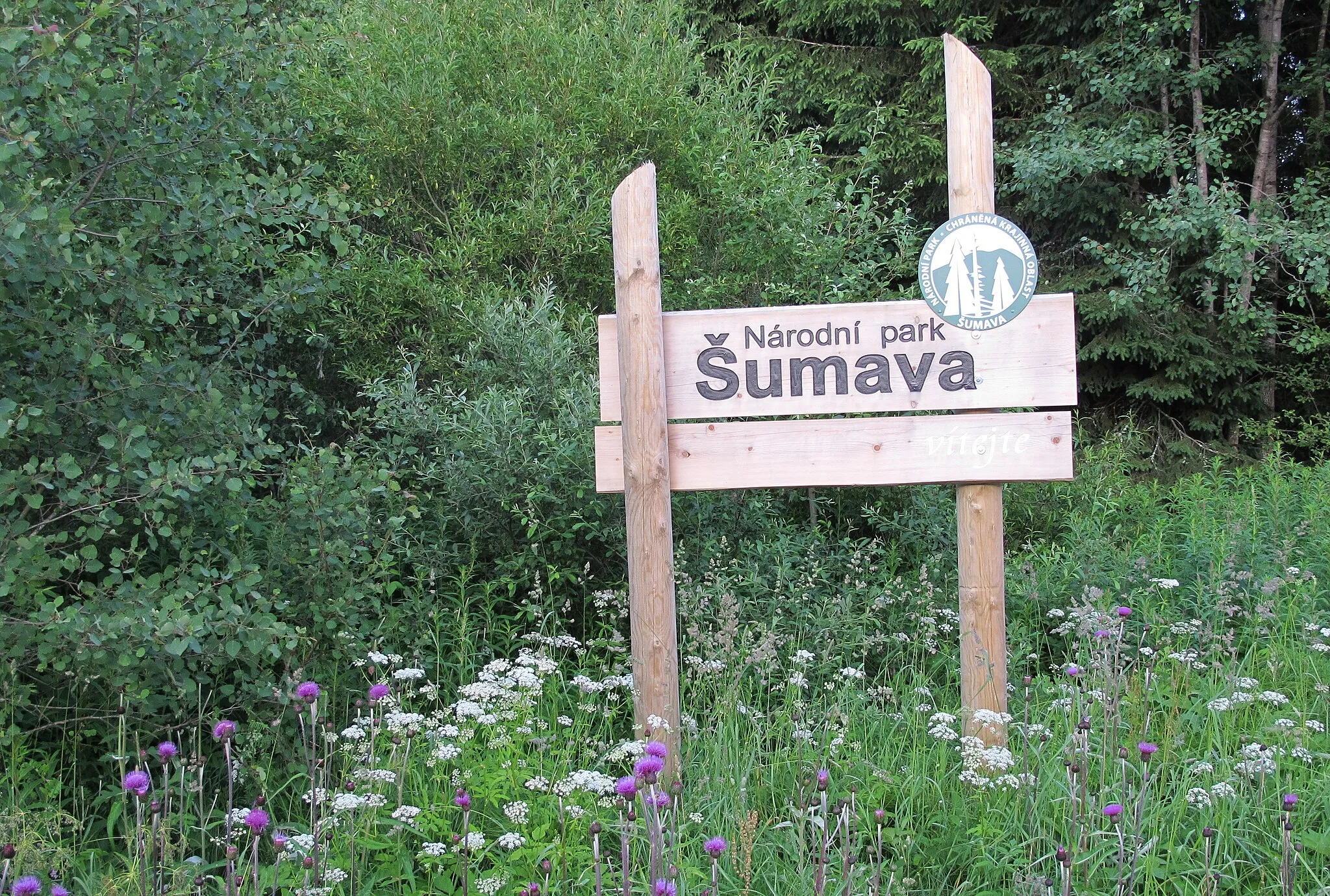 Photo showing: Border of the Šumava national park in Klatovy District