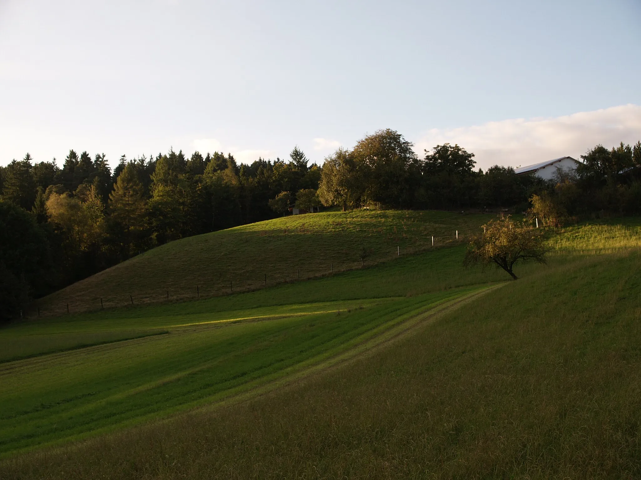 Photo showing: Kirchenhügel in Mitterfels Kreuzkirchen