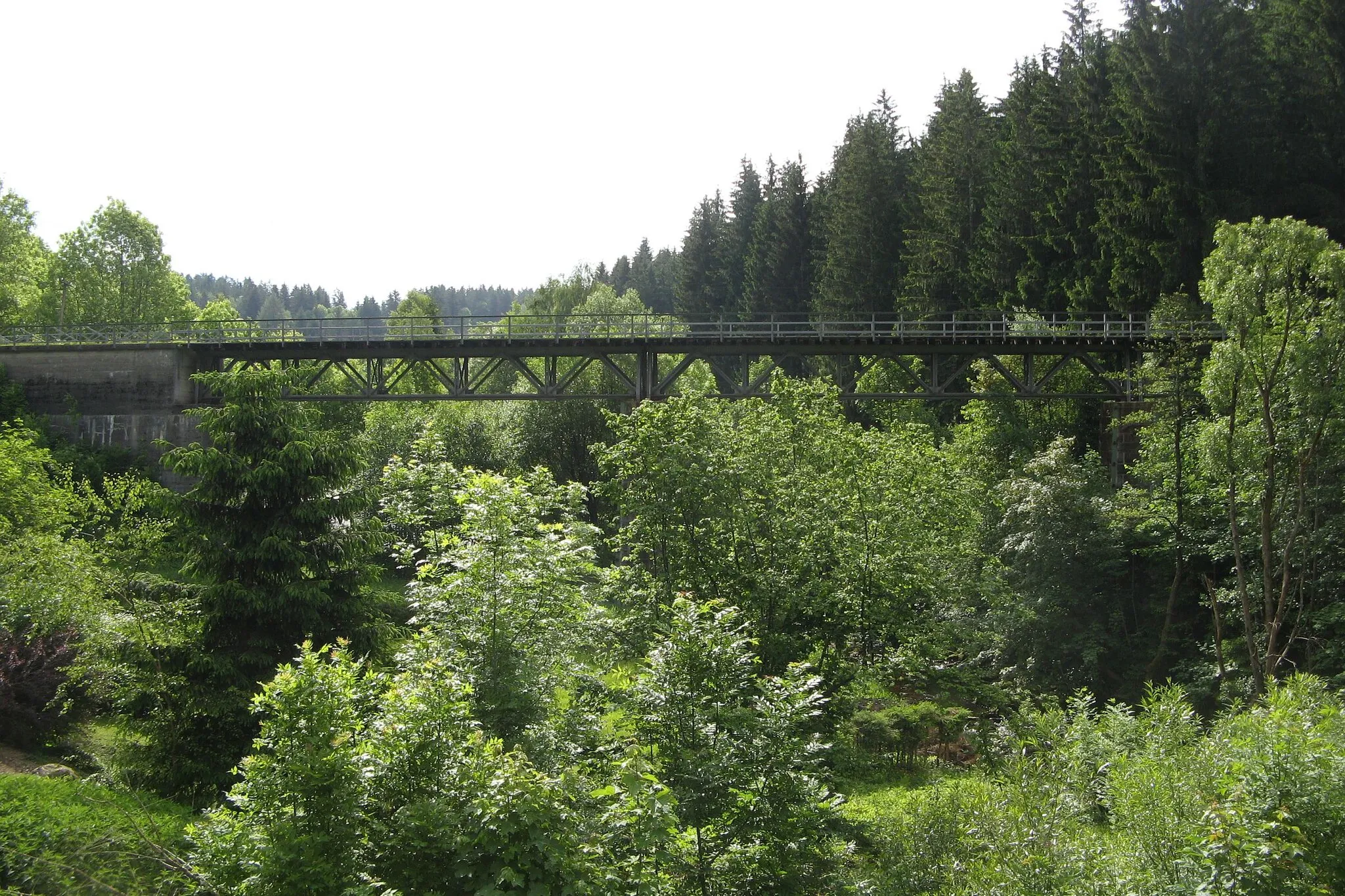 Photo showing: Eisenbahnbrücke der Bahnstrecke Zwiesel–Grafenau über die Große Ohe bei Spiegelau
