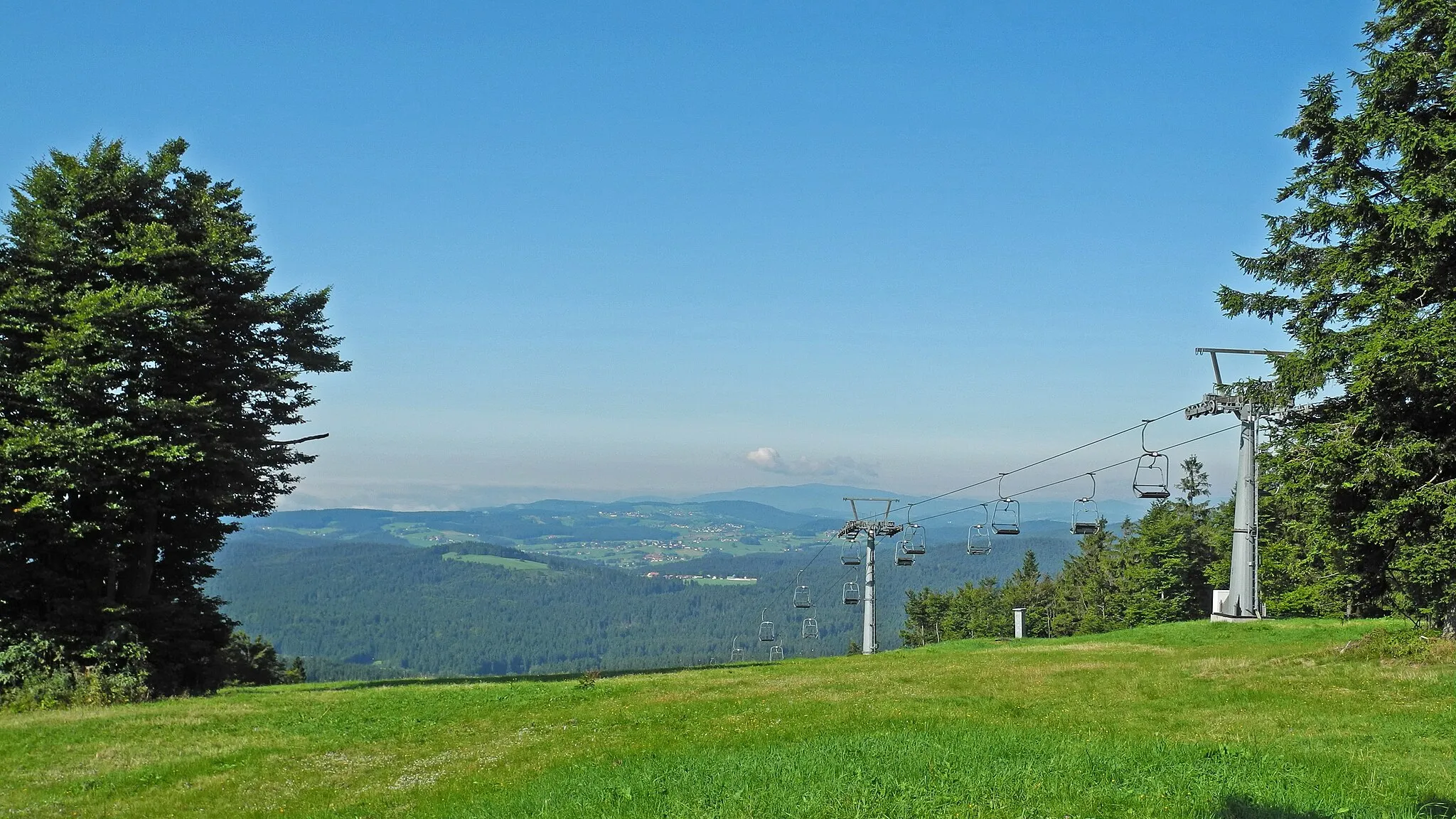 Photo showing: Auf dem Almberg (1139 m) bei Mitterfirmiansreut