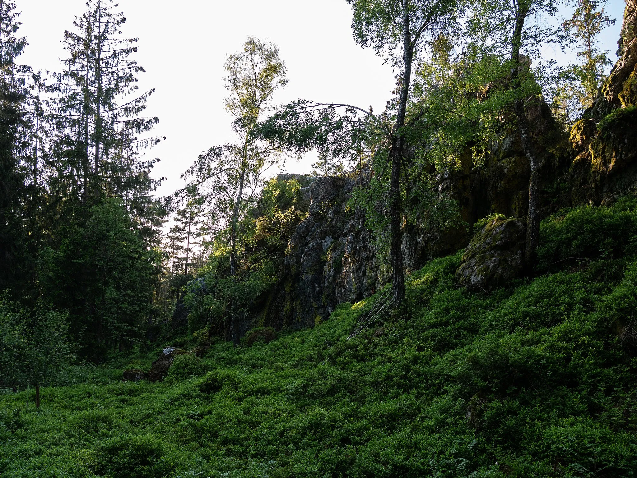 Photo showing: Zeigt das durchgehende Felsmassiv im Naturschutzgebiet Pfahl bei der Ruine Weissenstein das sich durch den gesamten Wald bei der Burgruine erstreckt.