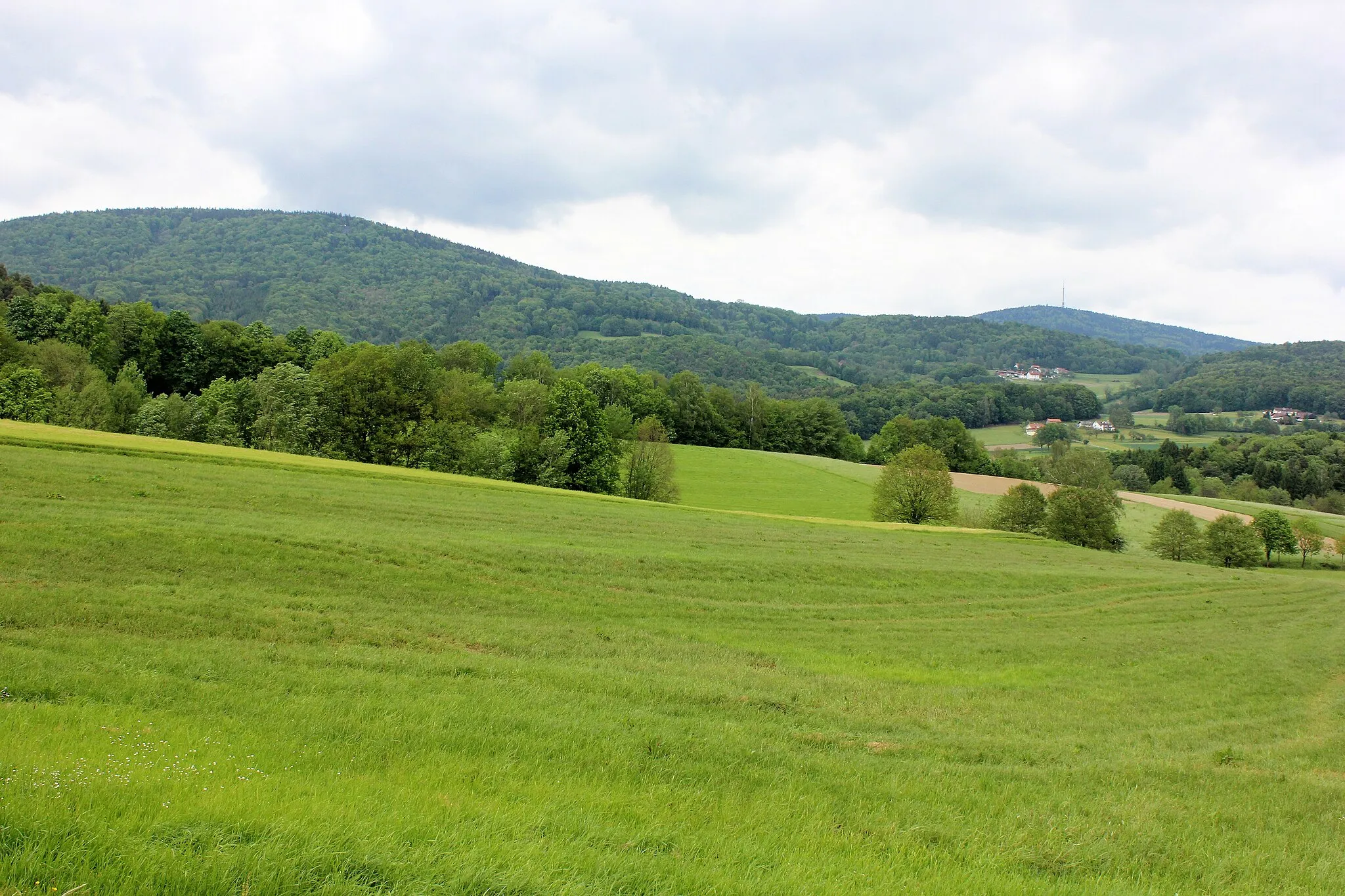 Photo showing: FFH-Gebiet "Wiesengebiete und Wälder um den Brotjacklriegel und Schöllnach. Landkreis Deggendorf.