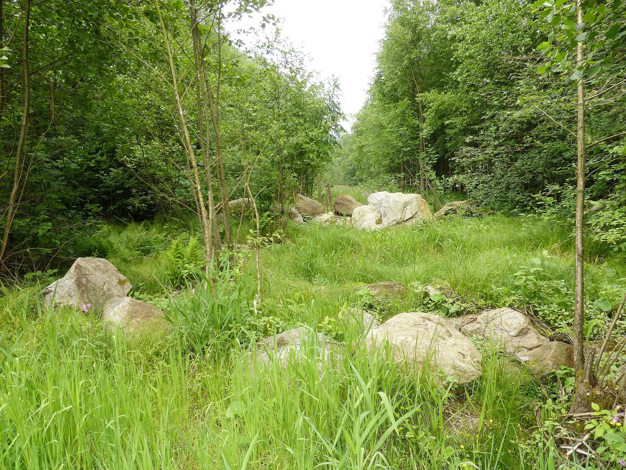 Photo showing: Das Prackenbachtal bei der Ortschaft Fichtental.
Markante Steinblöcke liegen in den Wiesen bzw. am Rande des Flußbettes. Geotop mit der Nr. 276R026 im Landkreis Regen.