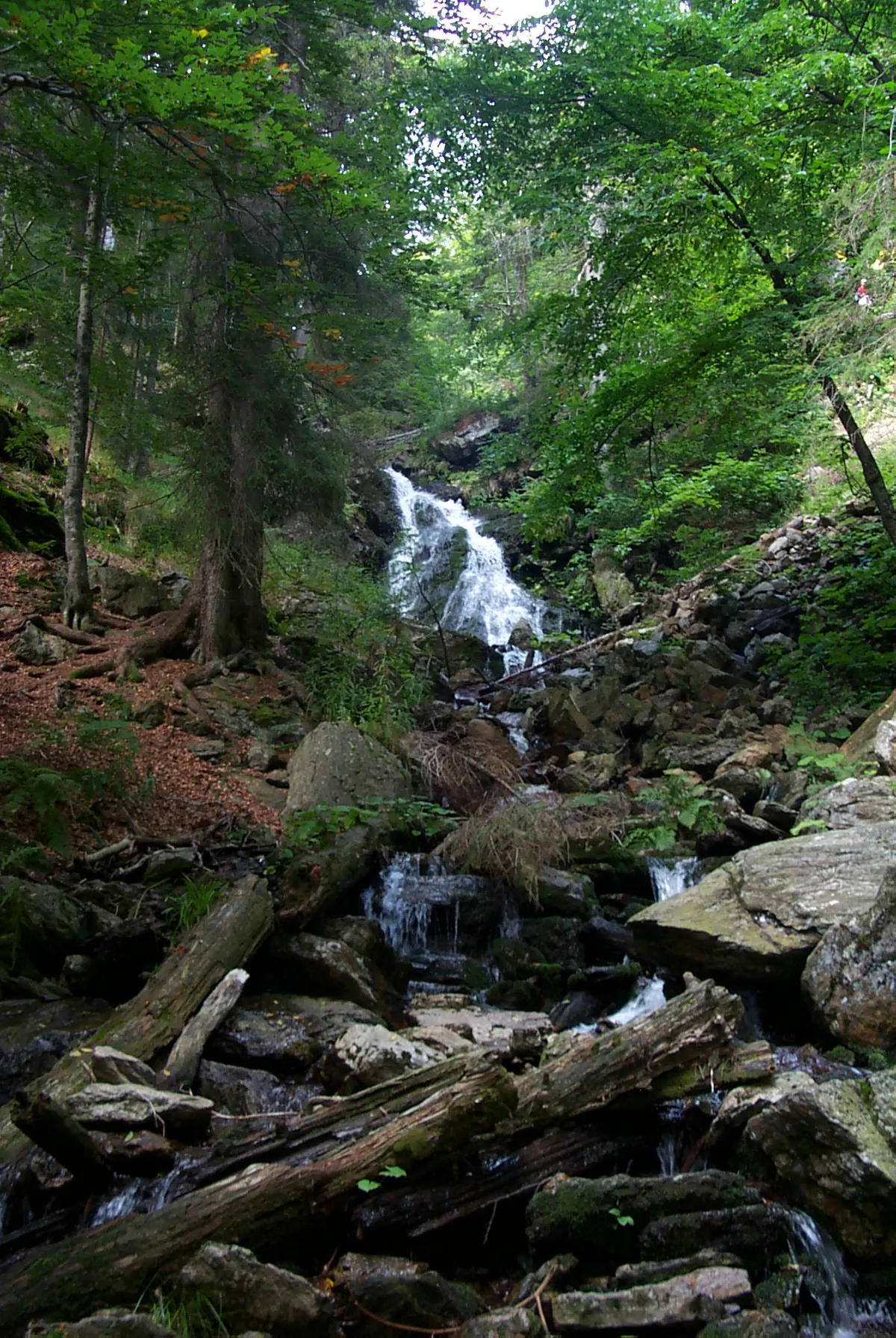 Photo showing: Waterfall near Zwiesel in Bavaria