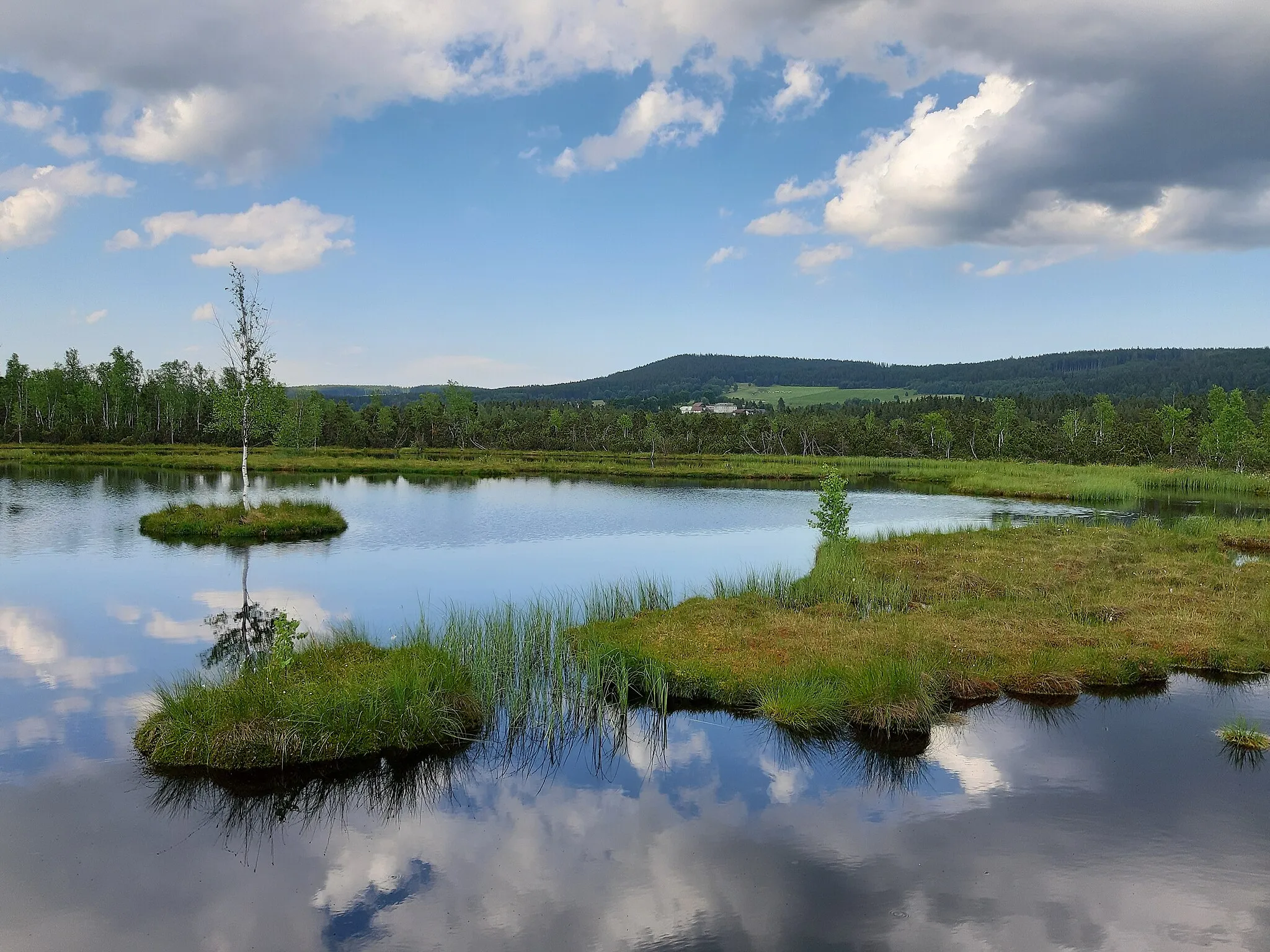 Photo showing: Chalupská slať (Šumava). https://cs.wikipedia.org/wiki/Chalupsk%C3%A1_sla%C5%A5