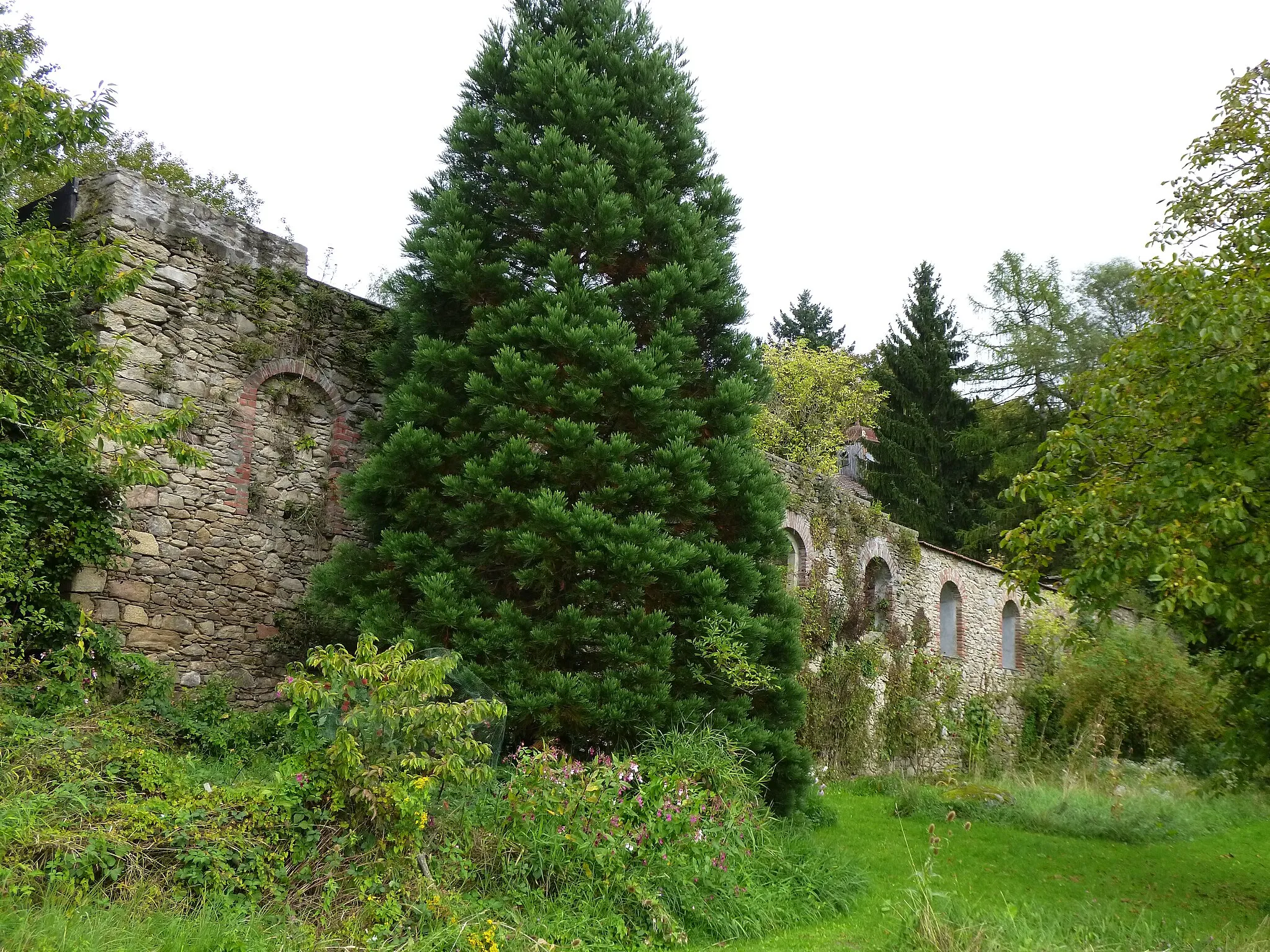 Photo showing: Die Reste der Burgmauer  der Burg Degenberg in der Marktgemeinde Schwarzach.