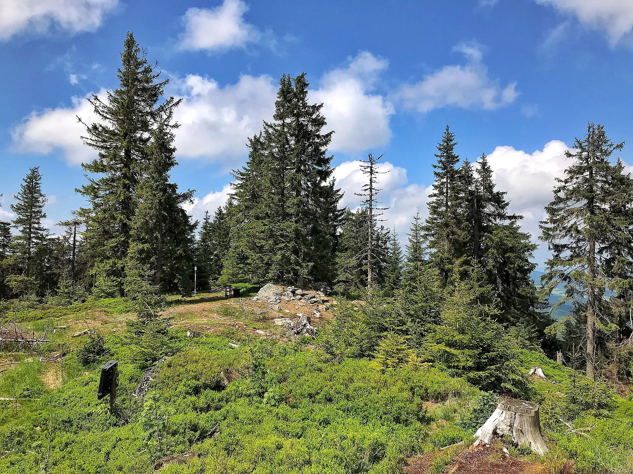 Photo showing: Vrchol šumavské hory Bobík (1264 m)