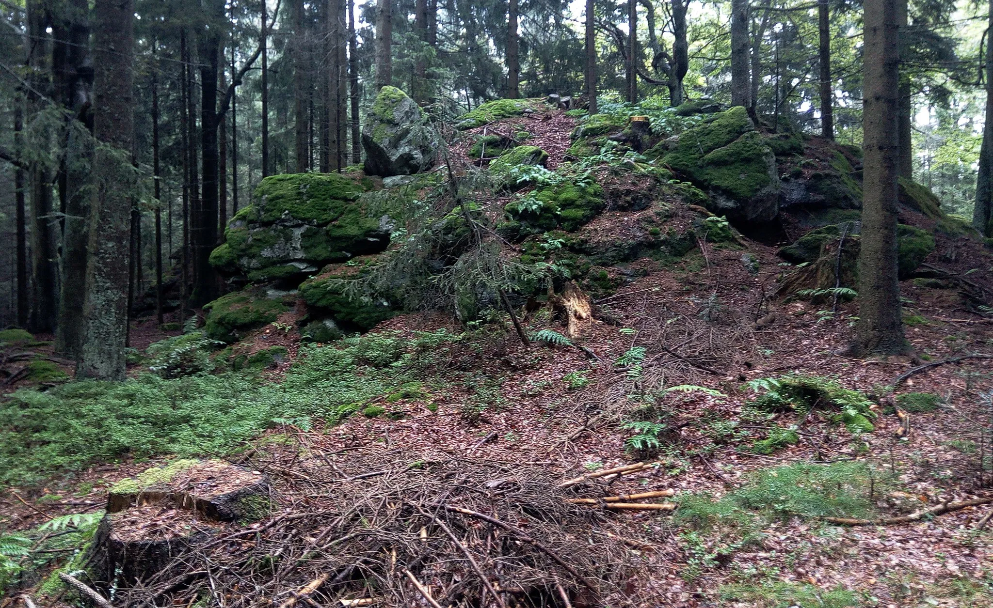 Photo showing: Rohanovský vrch, rocks at the top, Czechia