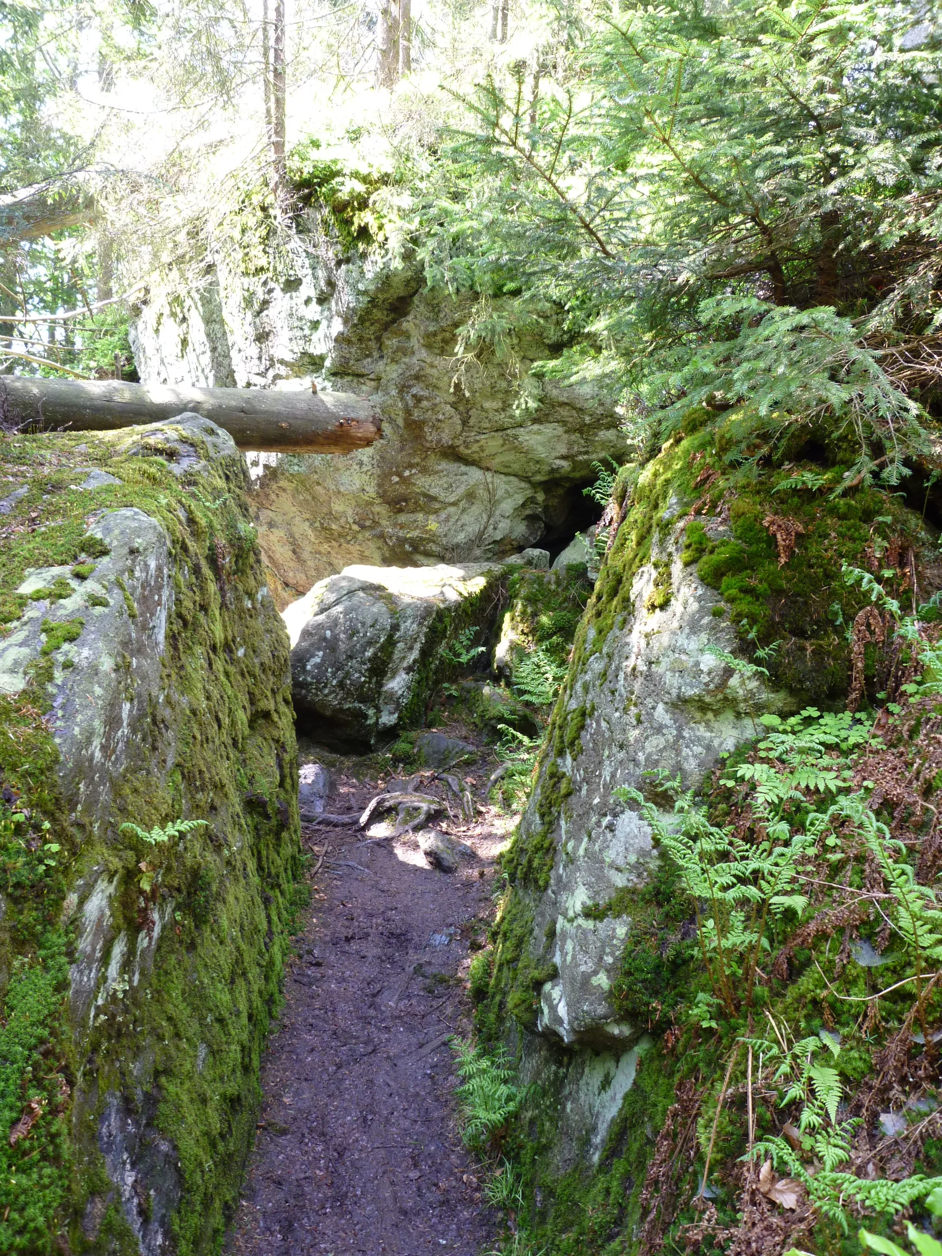 Photo showing: Wanderweg durch das Felsenwandergebiet im Nationalpark Bayerischer Wald, westlich der Ortschaft Mauth.