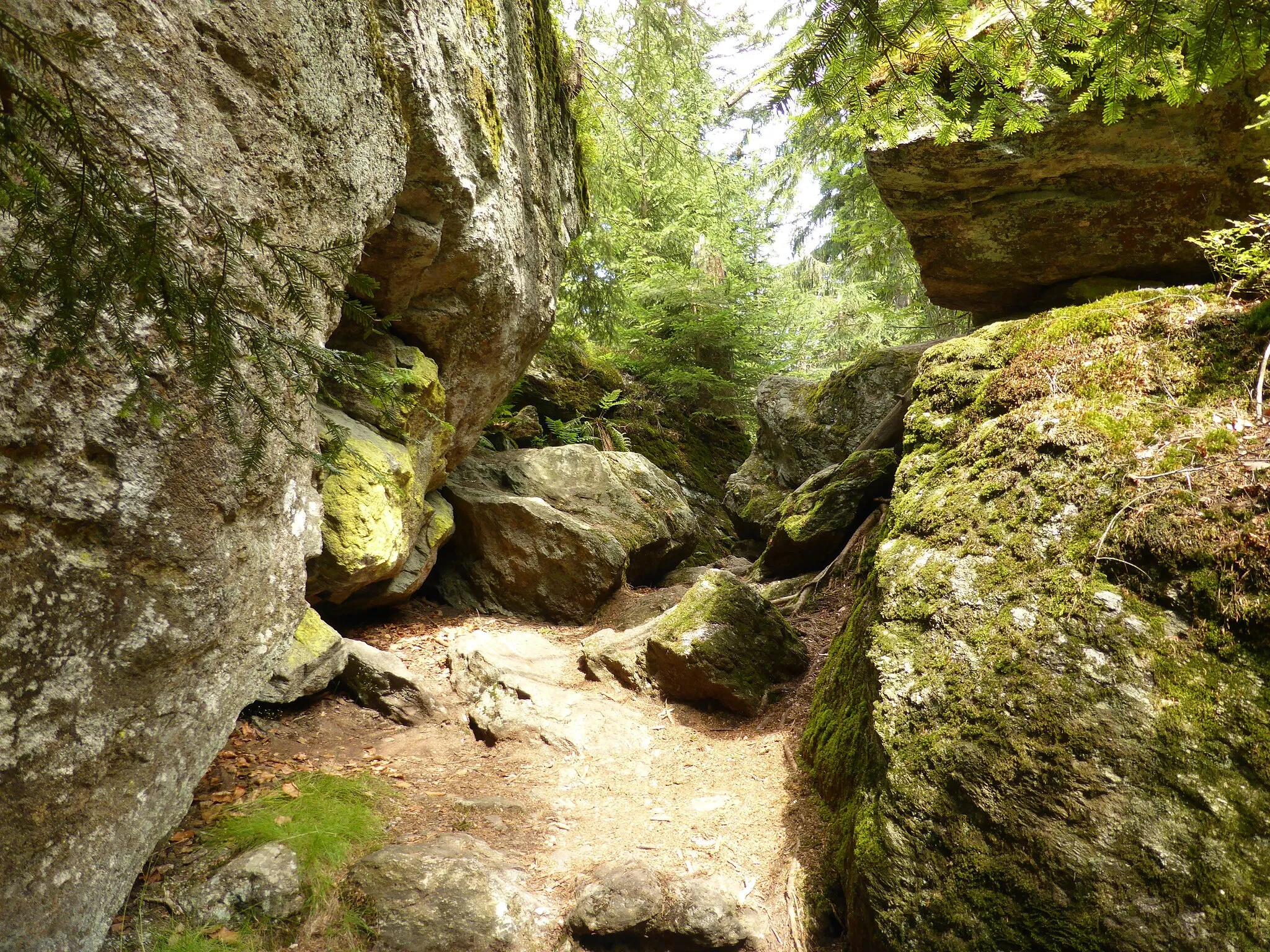 Photo showing: Felsenwandergebiet im Nationalpark Bayerischer Wald. Geotop im Landkreis Freyung-Grafenau.