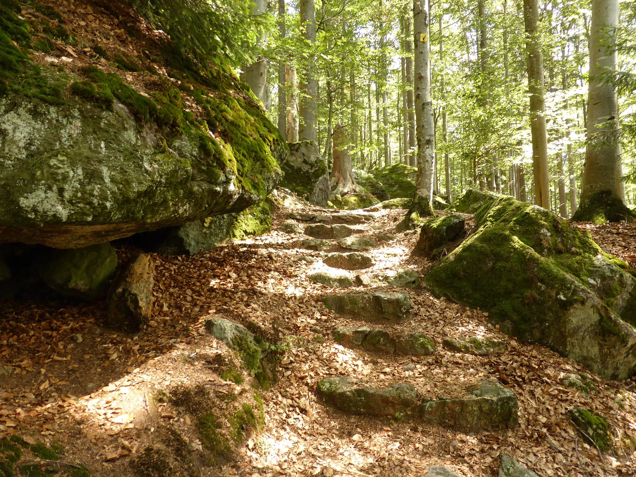 Photo showing: Unterschiedlich große Felsblöcke und Felsformationen sind im Felsenwandergebiet des Nationalparks Bayerischer Wald vorzufinden. Das Felsenwandergebiet gehört zu den Geotop im Landkreis Freyung-Grafenau.
