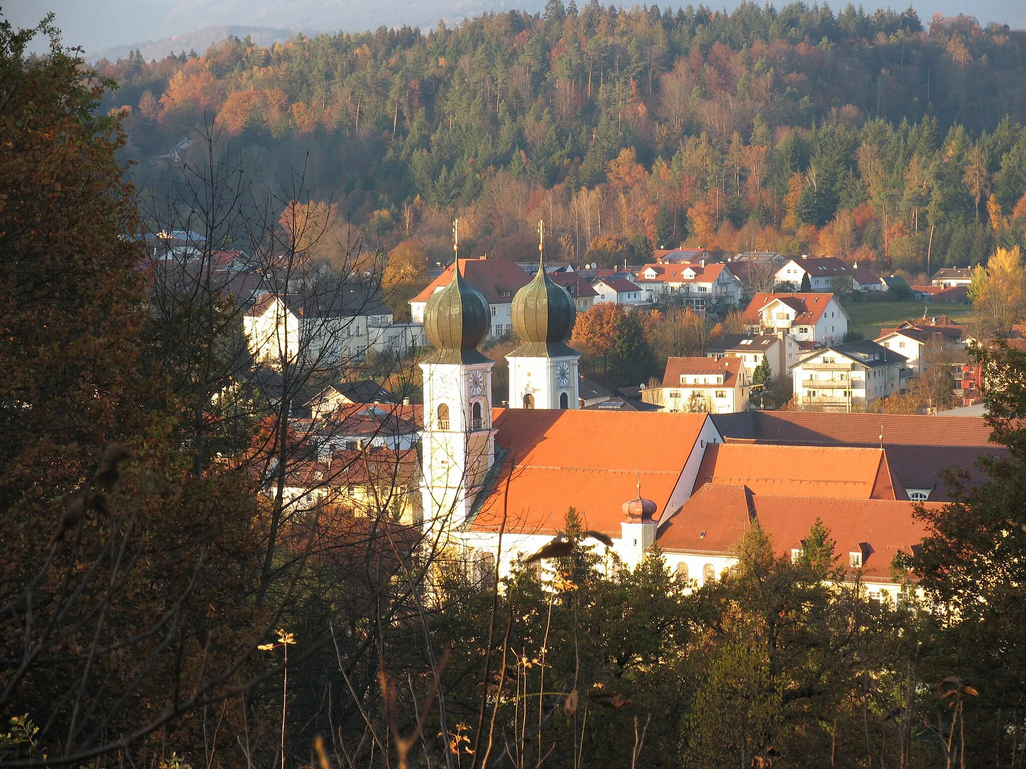 Photo showing: Zu sehen ist die Klosterkirche Metten sowie Teile des Klosters. Im Hintergrund erstrecken sich Wohnhäuser von Metten. Zwischen den Zwiebeltürmen sieht man ein Gebäude, in welchem Nonnen des Kloster Metten wohnen.