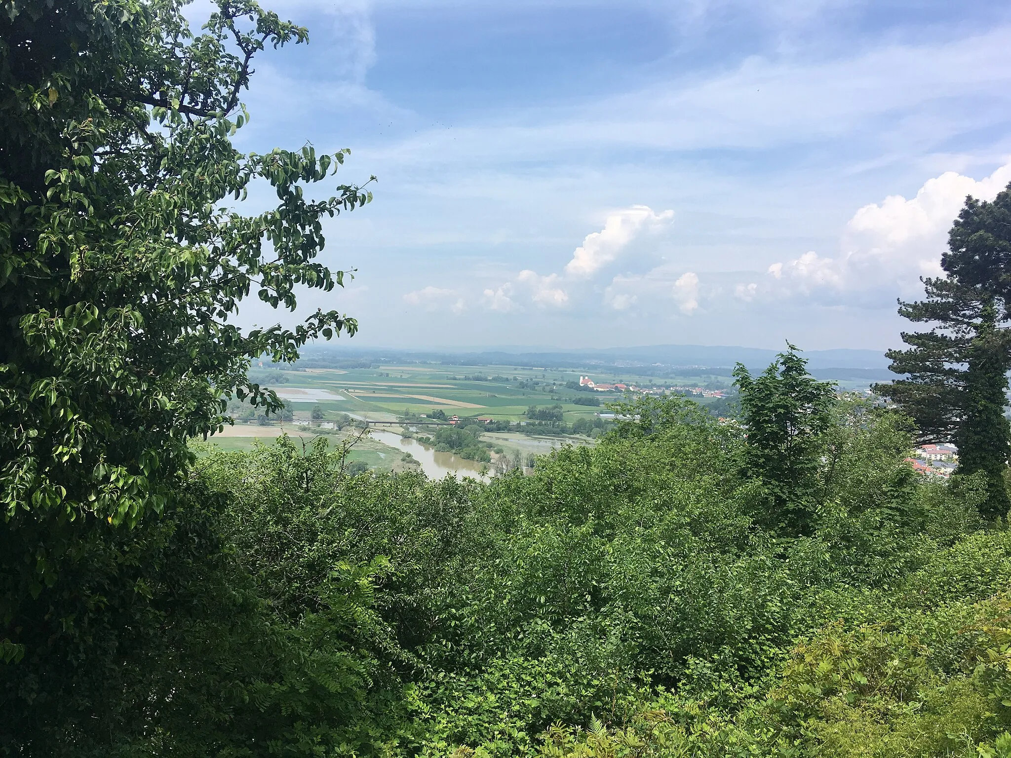 Photo showing: Naturschutzgebiet Bogenberg