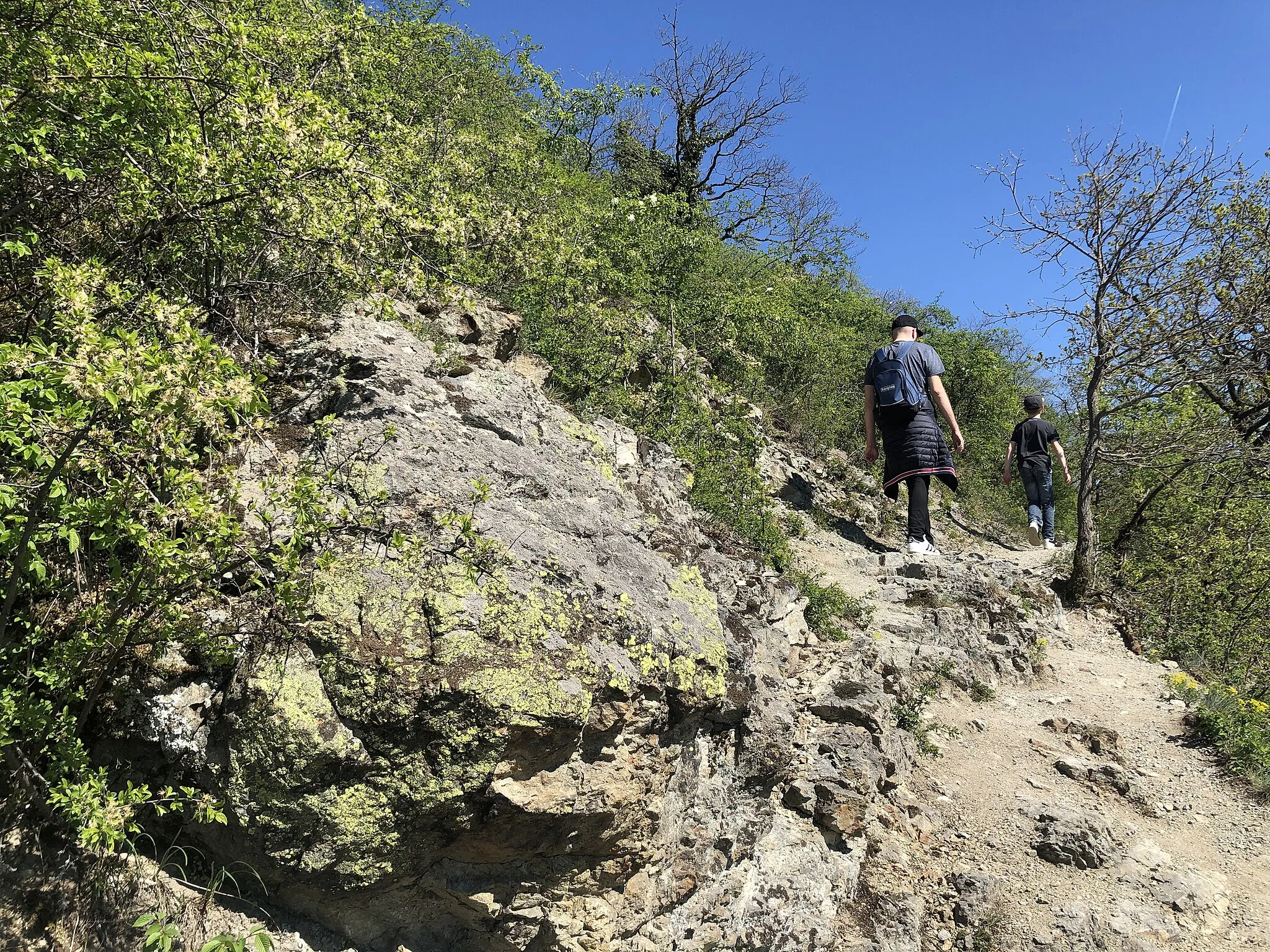 Photo showing: Wanderweg Bogenberg