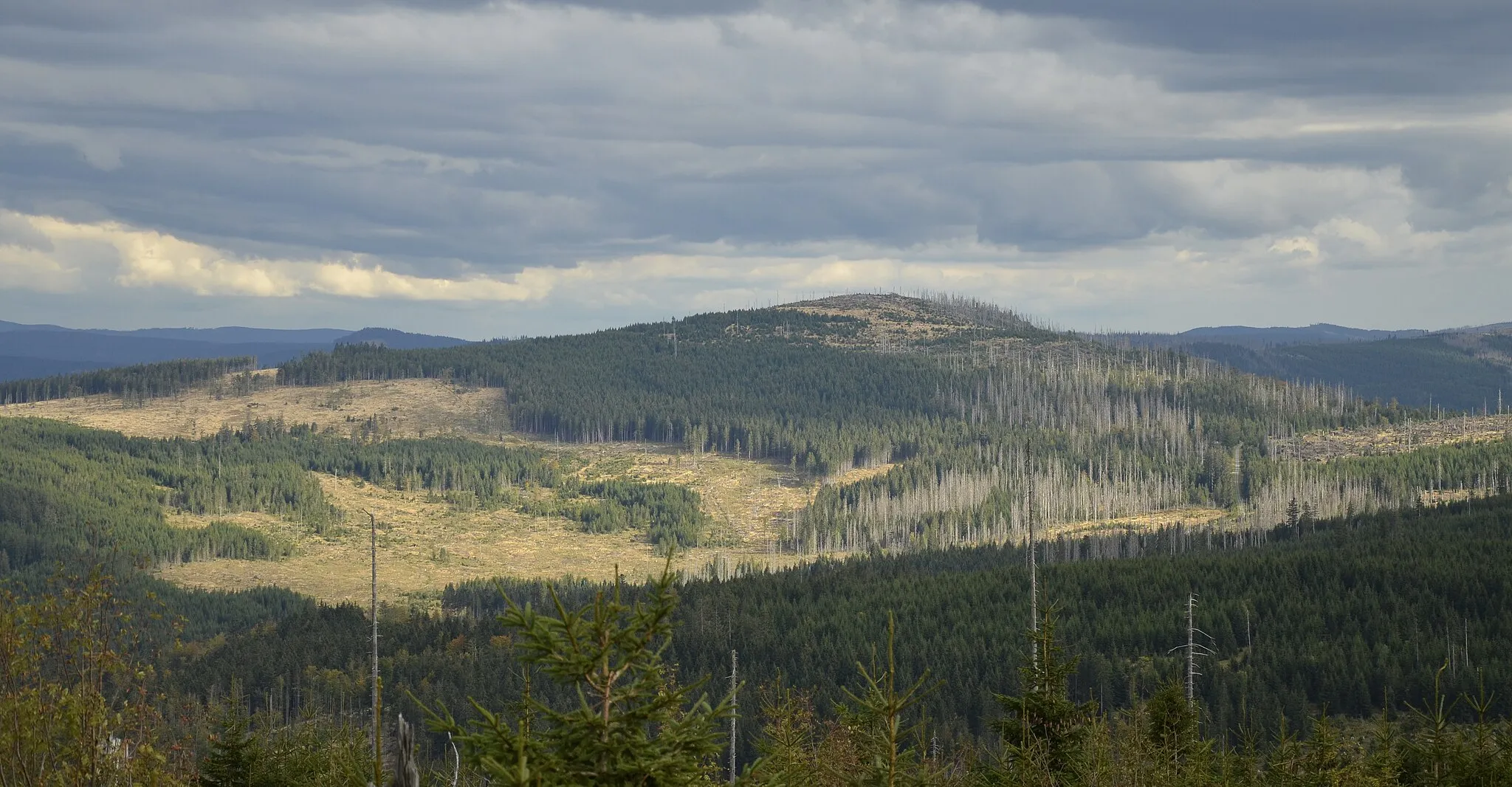 Photo showing: Ždánidla, 1309 m, Šumava