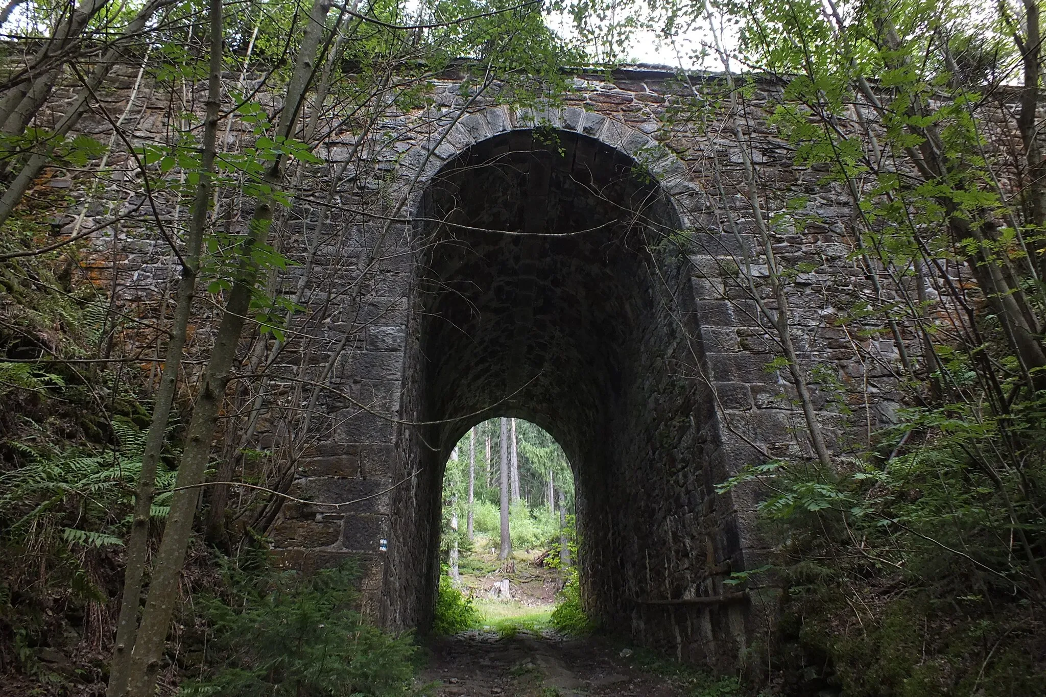 Photo showing: Railway bridge near the village of Hamry and the train station Hojsova Stráž, the Czech Republic.