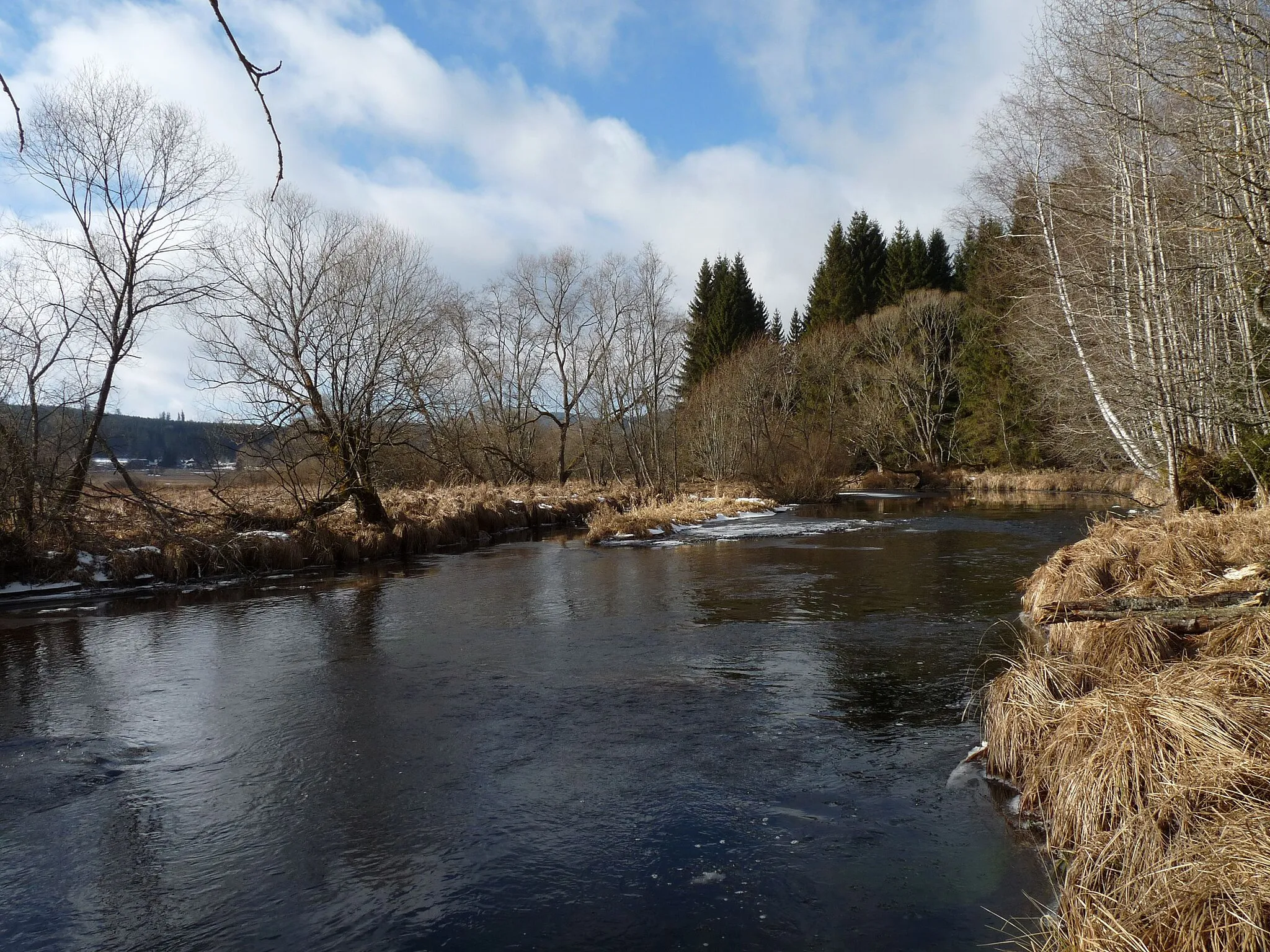 Photo showing: Teplá Vltava River in the natural monument Vltavský luh south of the town of Volary, Prachatice District, South Bohemia, Czech Republic.