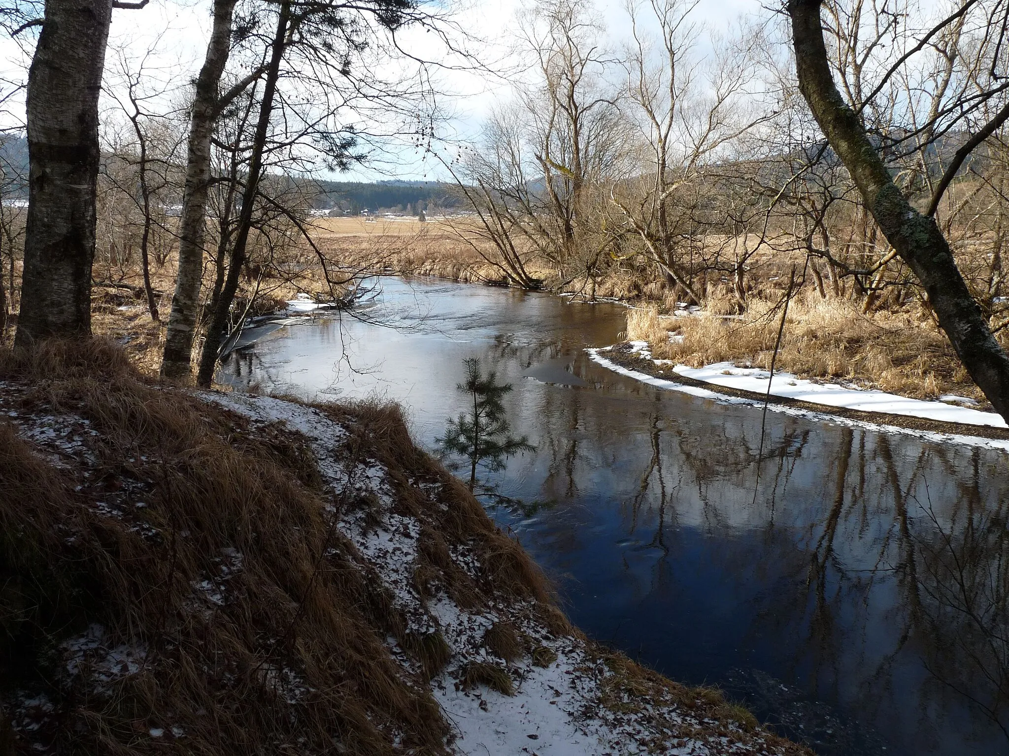 Photo showing: Teplá Vltava River in the natural monument Vltavský luh south of the town of Volary, Prachatice District, South Bohemia, Czech Republic.