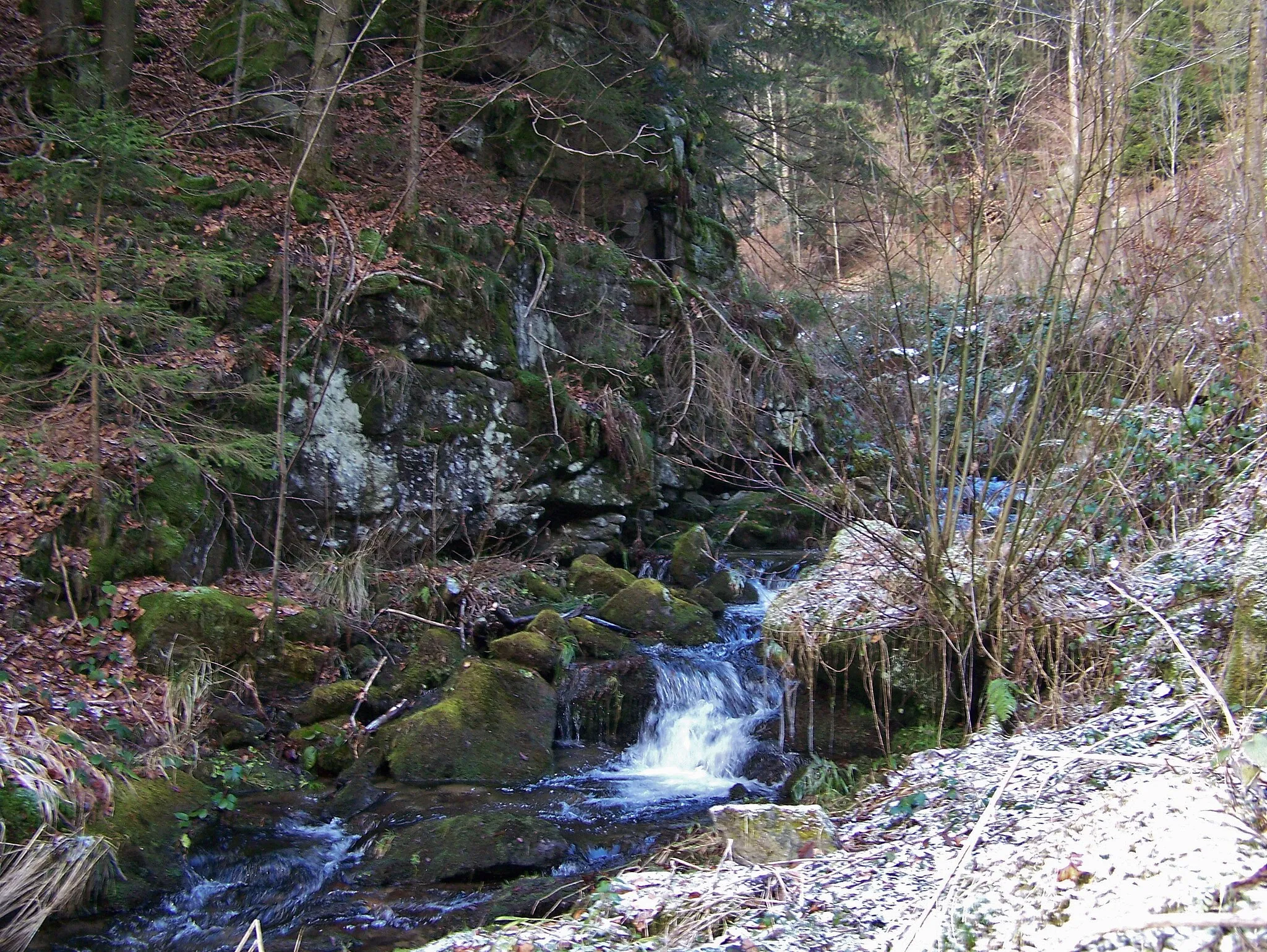 Photo showing: Bachlauf durch die Saulochschlucht