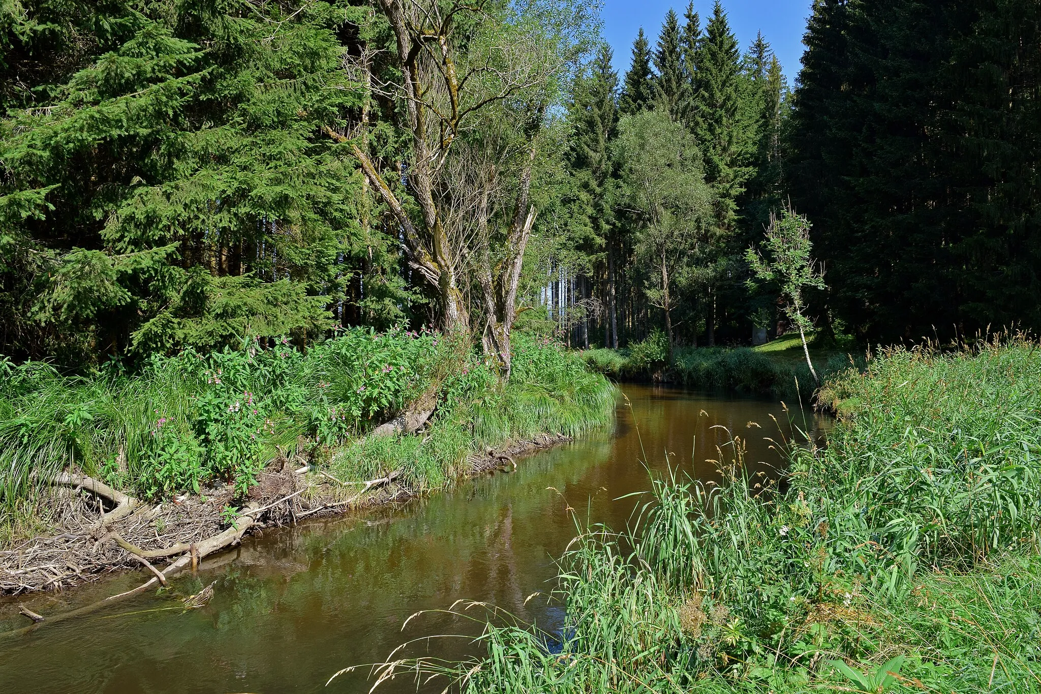Photo showing: Das Tal der Großen Mühl ist Teil des Europaschutzgebietes Böhmwald und Mühltäler