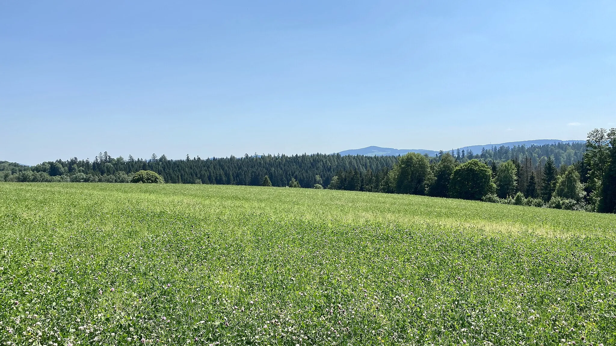 Photo showing: Der Einsiedelberg in der Gemeinde Schwarzenberg am Böhmerwald, Oberösterreich.