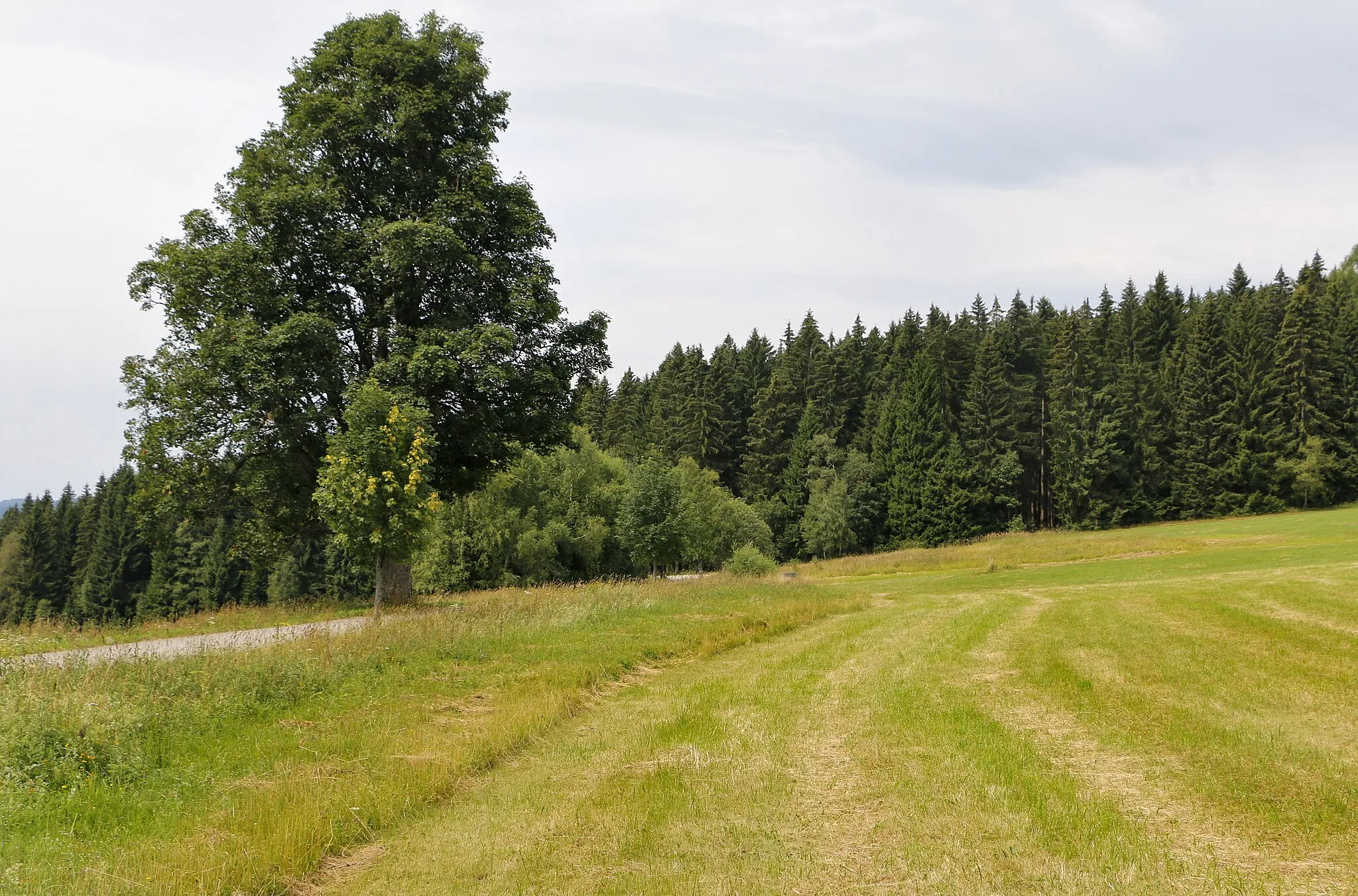 Photo showing: Landscape by Černá Lada, part of Borová Lada, Czech Republic.