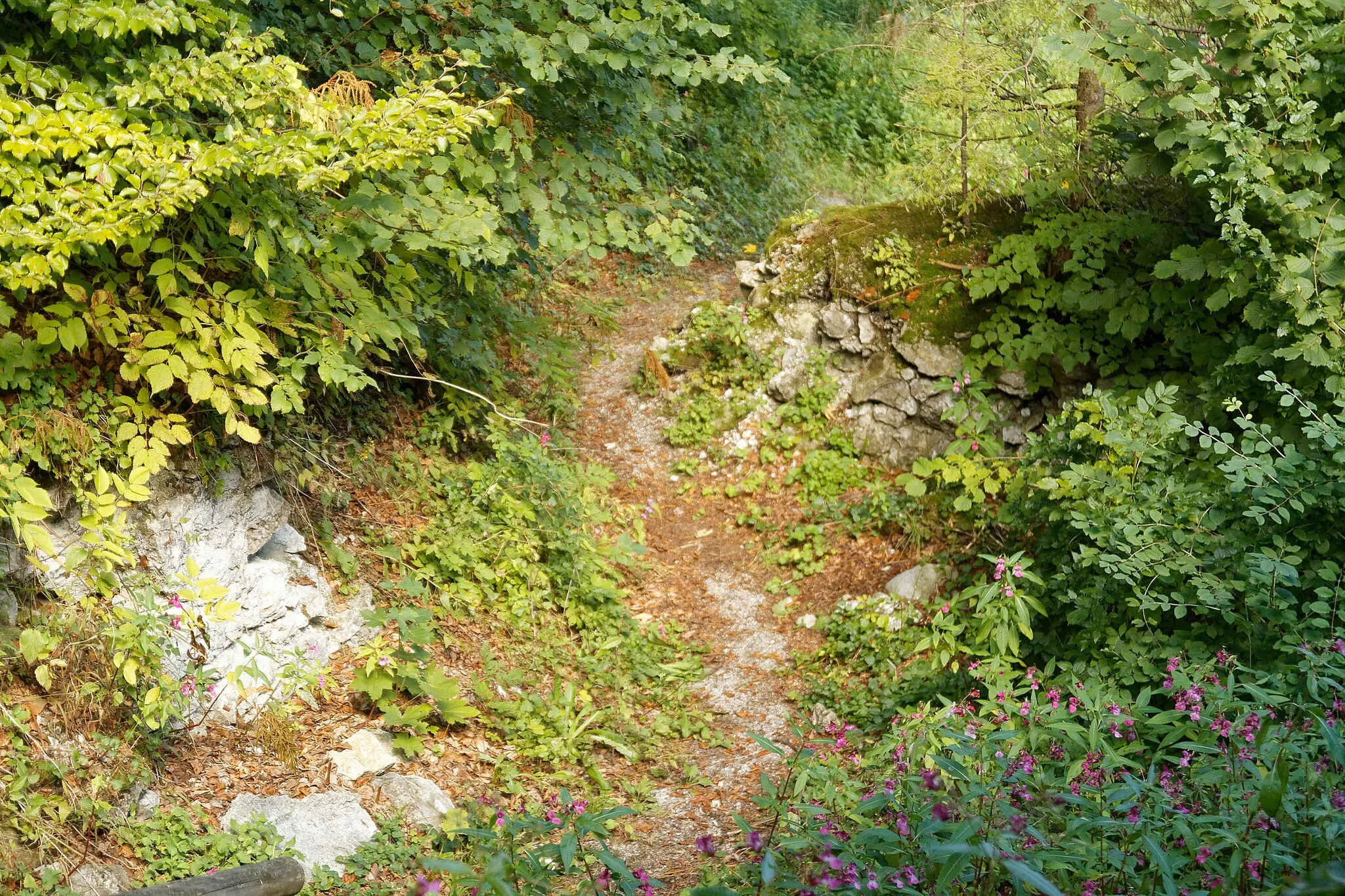 Photo showing: Mauerreste im Burgstall Eschenlohe