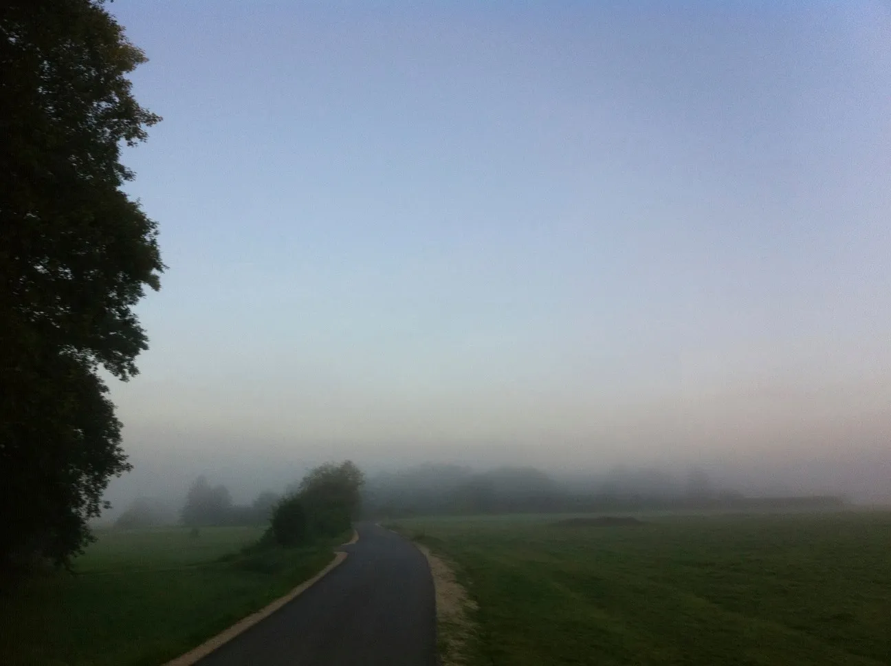 Photo showing: Very dense fog on a summer morning near Freilassing.