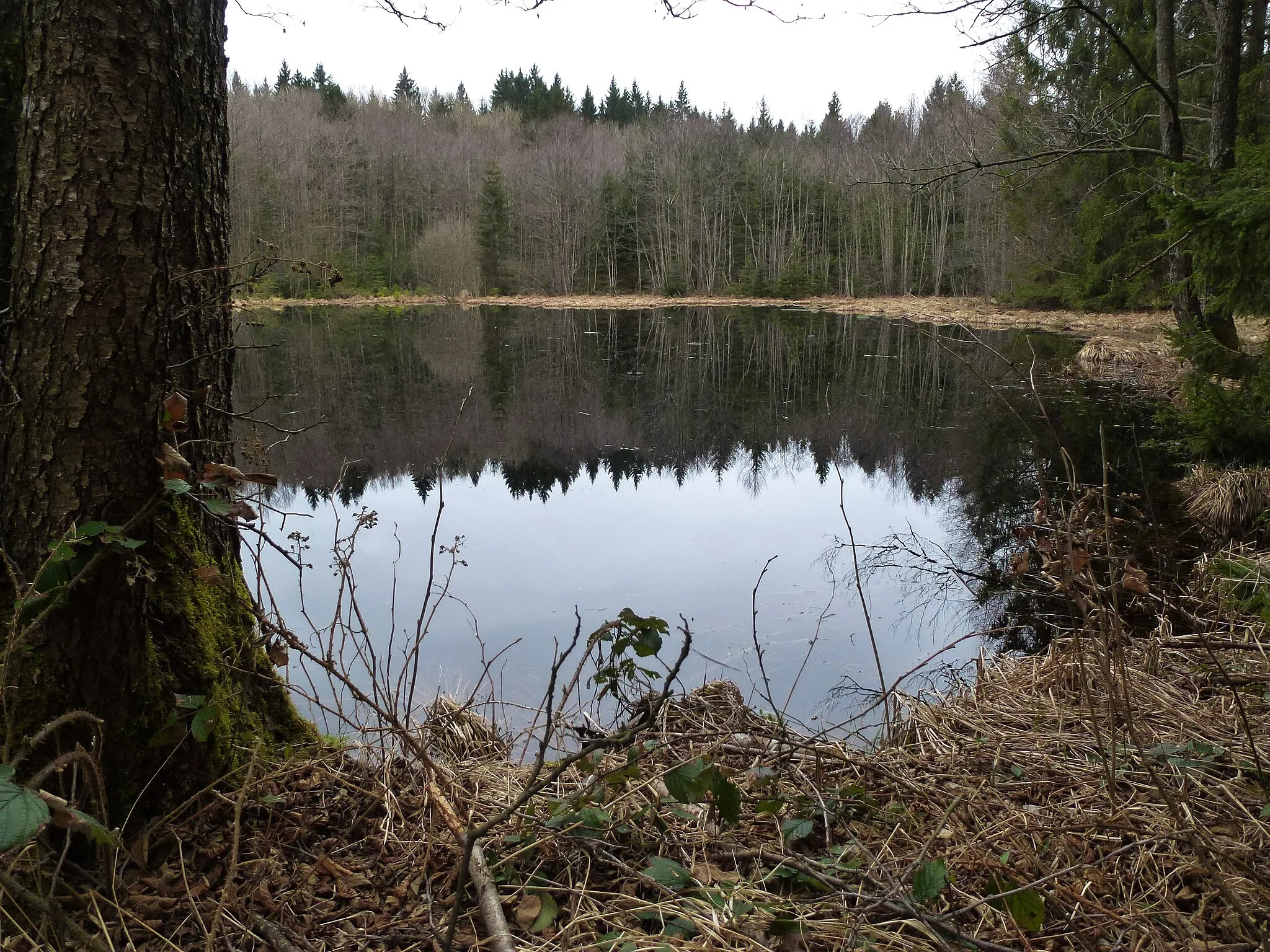 Photo showing: Toteisloch, ca. 450m nördlich von Abtsried (Sandbergweiher), der Gemeinde Dießen am Ammersee zugeordnet. Aufnahmerichtung: von Norden nach Süden