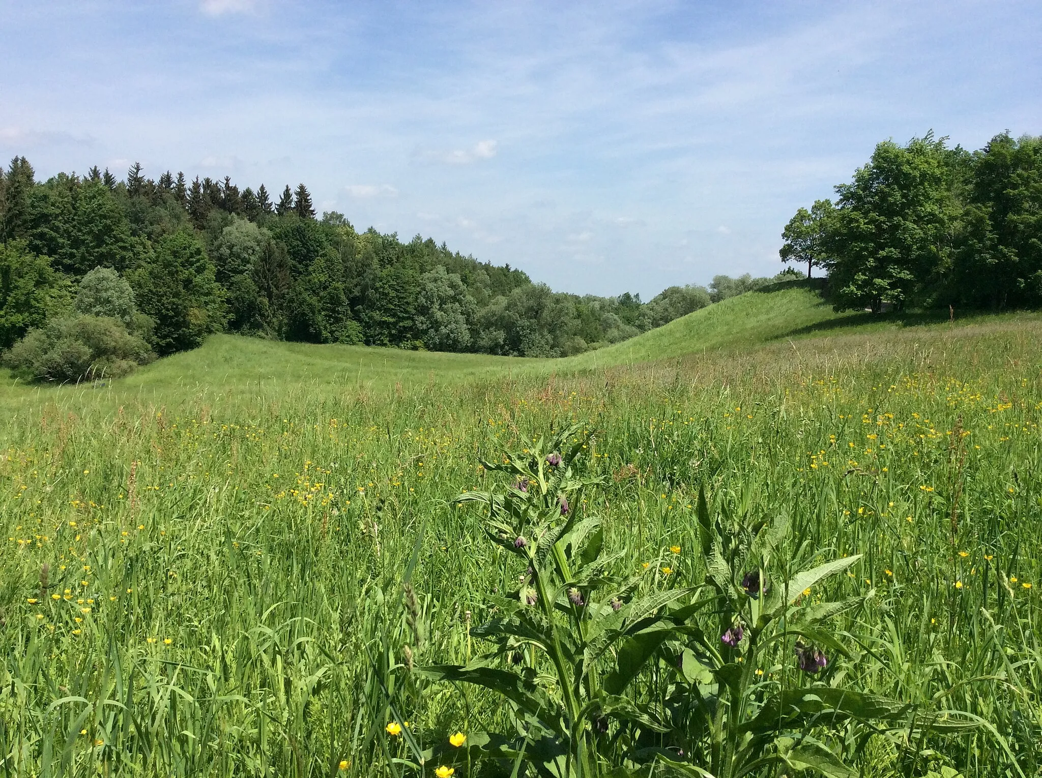 Photo showing: Geotop 162R001 im Westen Münchens, bis 540 m hohe eiszeitliche Schotterablagerungen in der Münchner Schotterebene und fruchtbarer Löss, satte Wiesen, Niedermoor umringt von Wald