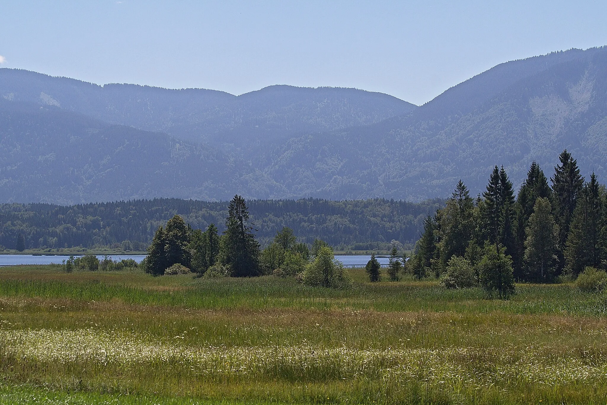 Photo showing: westlicher Staffelsee, Blick nach Süden