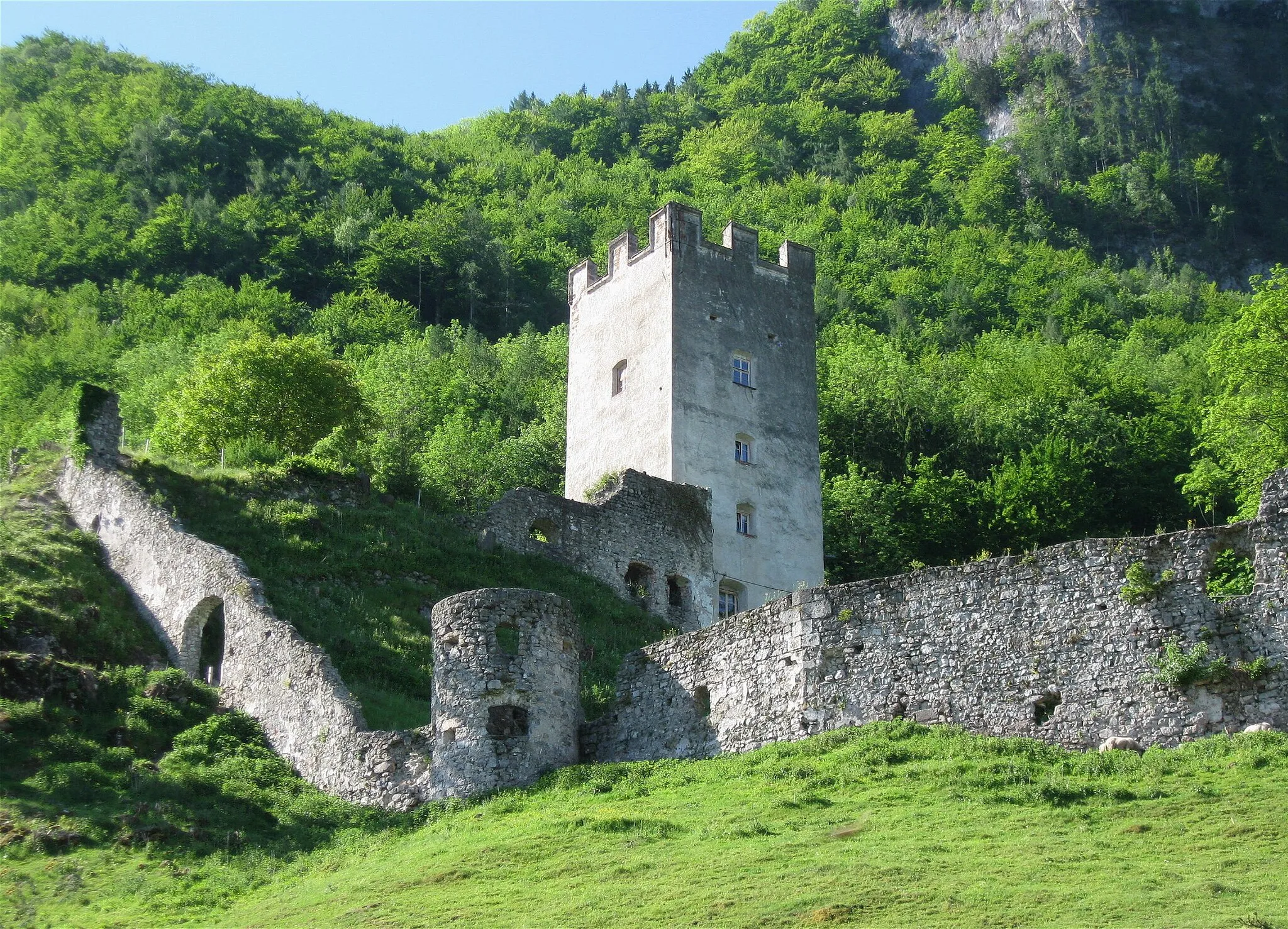 Photo showing: Petersbergweg 25; Falkensteinstraße 2b. Burgruine Falkenstein (untere Burg),
Bergfried nach 1296, Umfassungsmauer und zwei Türme, 15. Jh.; im Ort Reste weiterer

Umfassungsmauern.