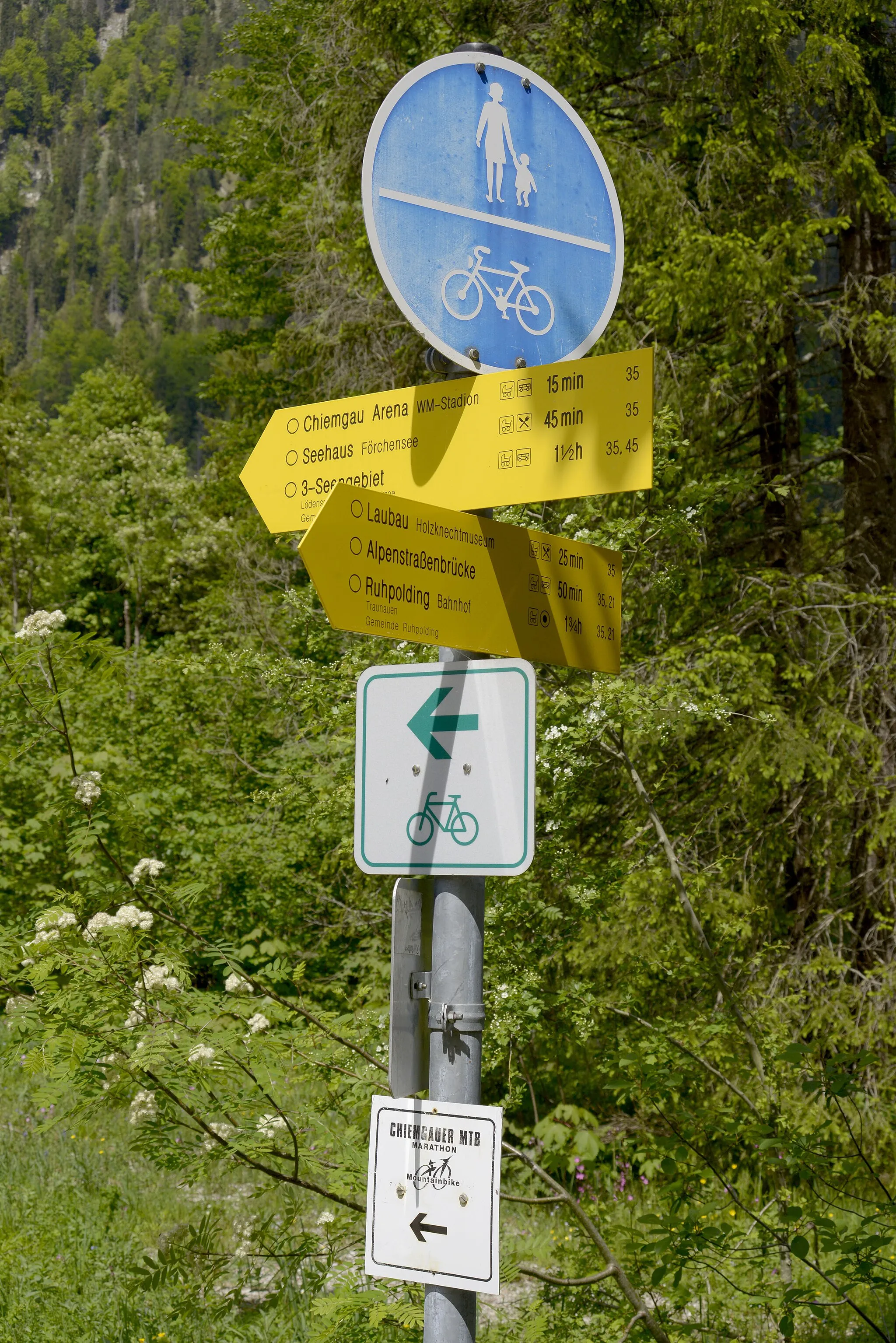 Photo showing: Wanderwegweiser der Gmd. Ruhpolding