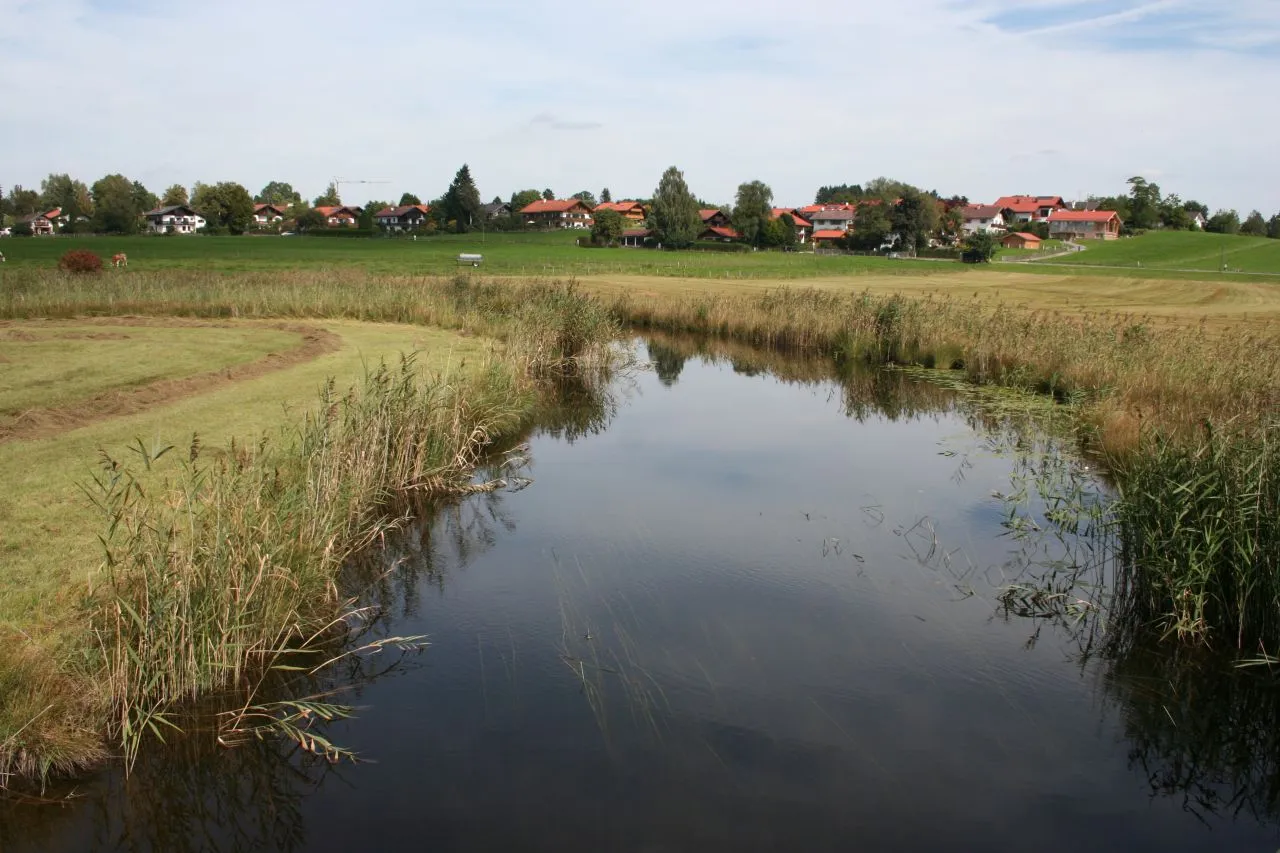 Photo showing: The River Ach looking north, between the Staffelsee and w:Uffing.