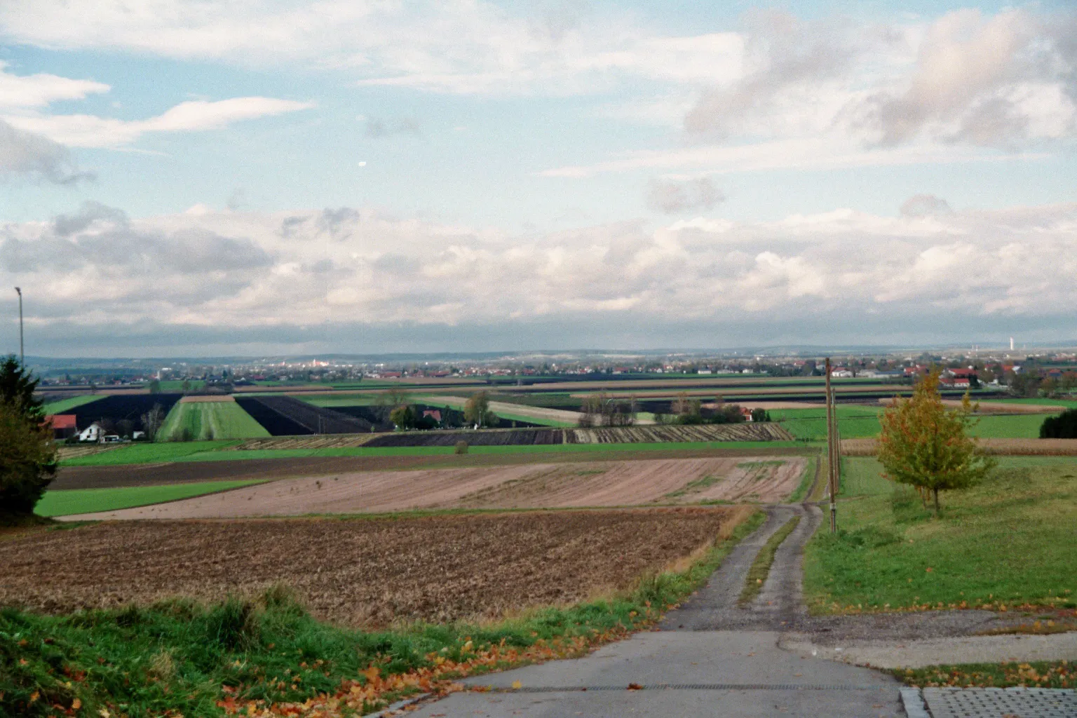 Photo showing: Blick ins Donaumoos, nahe dem Donaumoos-Denkmal in Berg im Gau, Landkreis Neuburg-Schrobenhausen, Bayern, Deutschland.