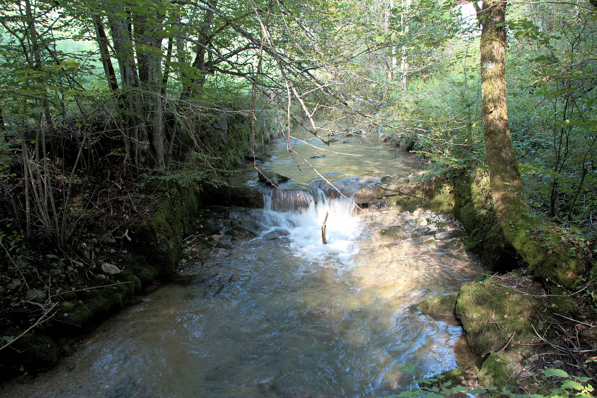 Photo showing: Der Alterbach im Gemeindegebiet von Koppl (Bezirk Salzburg-Umgebung) am Nordfuße des Heubergs.