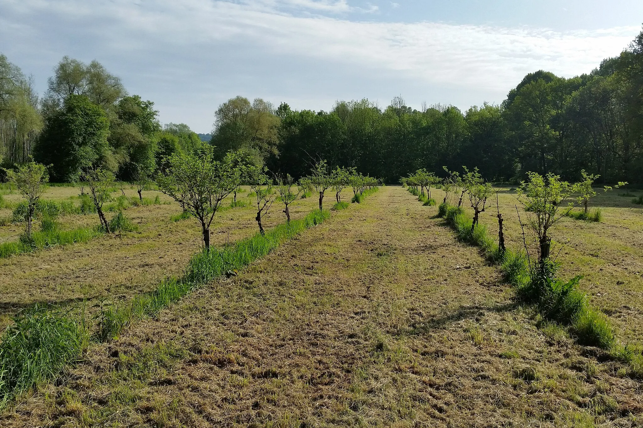 Photo showing: This media shows the nature reserve in Upper Austria  with the ID n128.