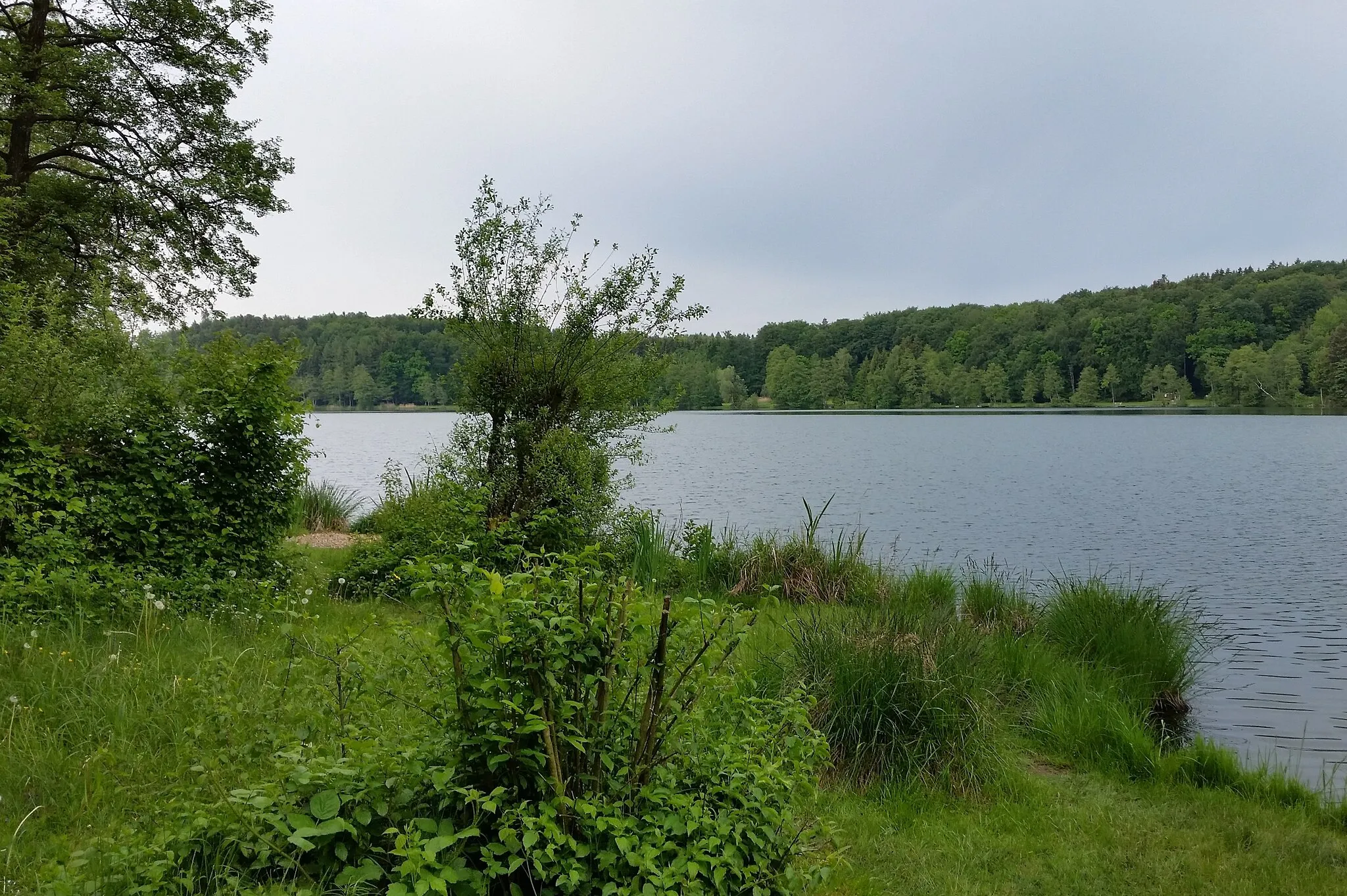 Photo showing: This media shows the nature reserve in Upper Austria  with the ID n002.