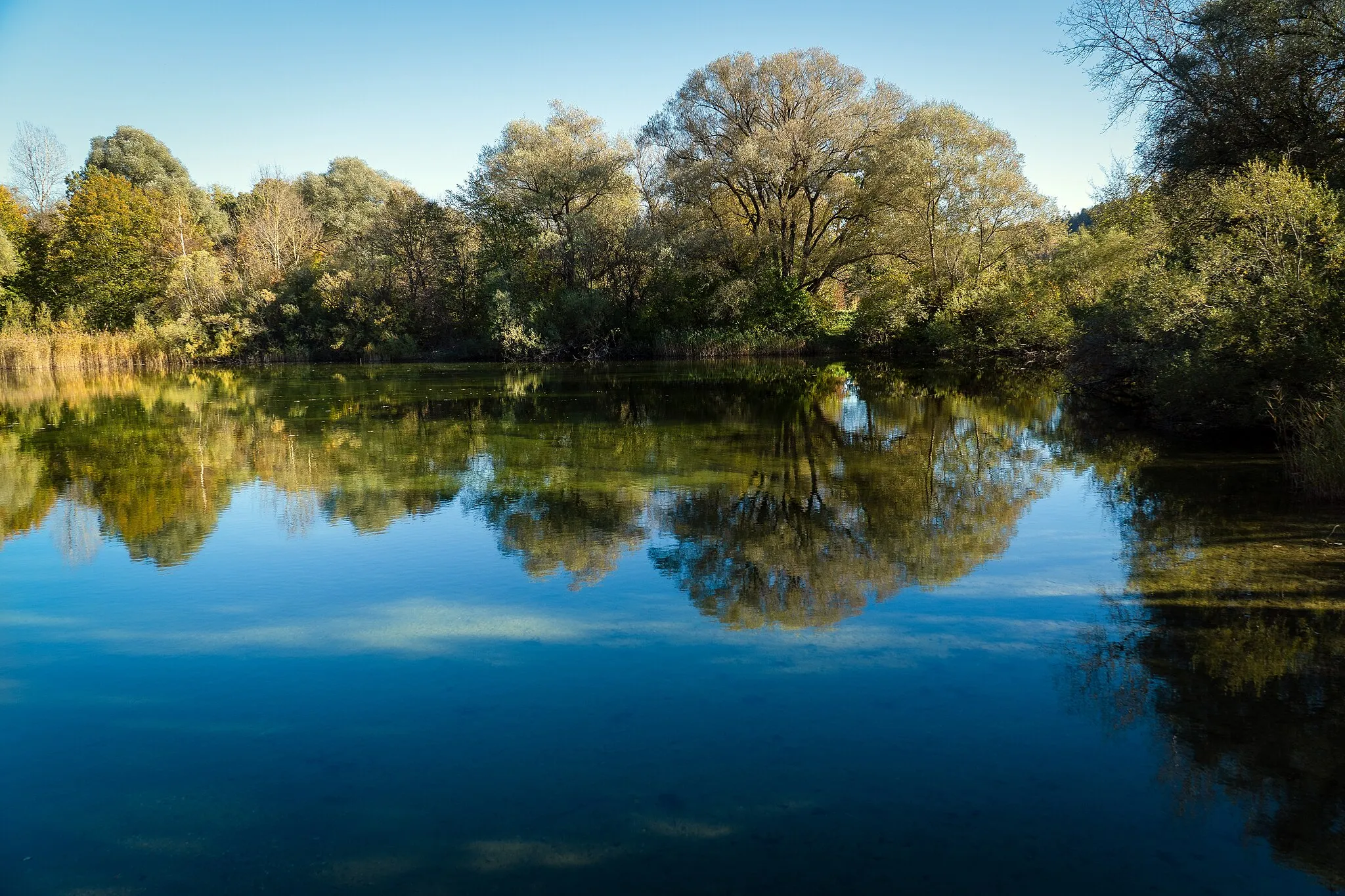 Photo showing: Kranzberger See - Landschaftsschutzgebiet Ampertal im Landkreis Freising