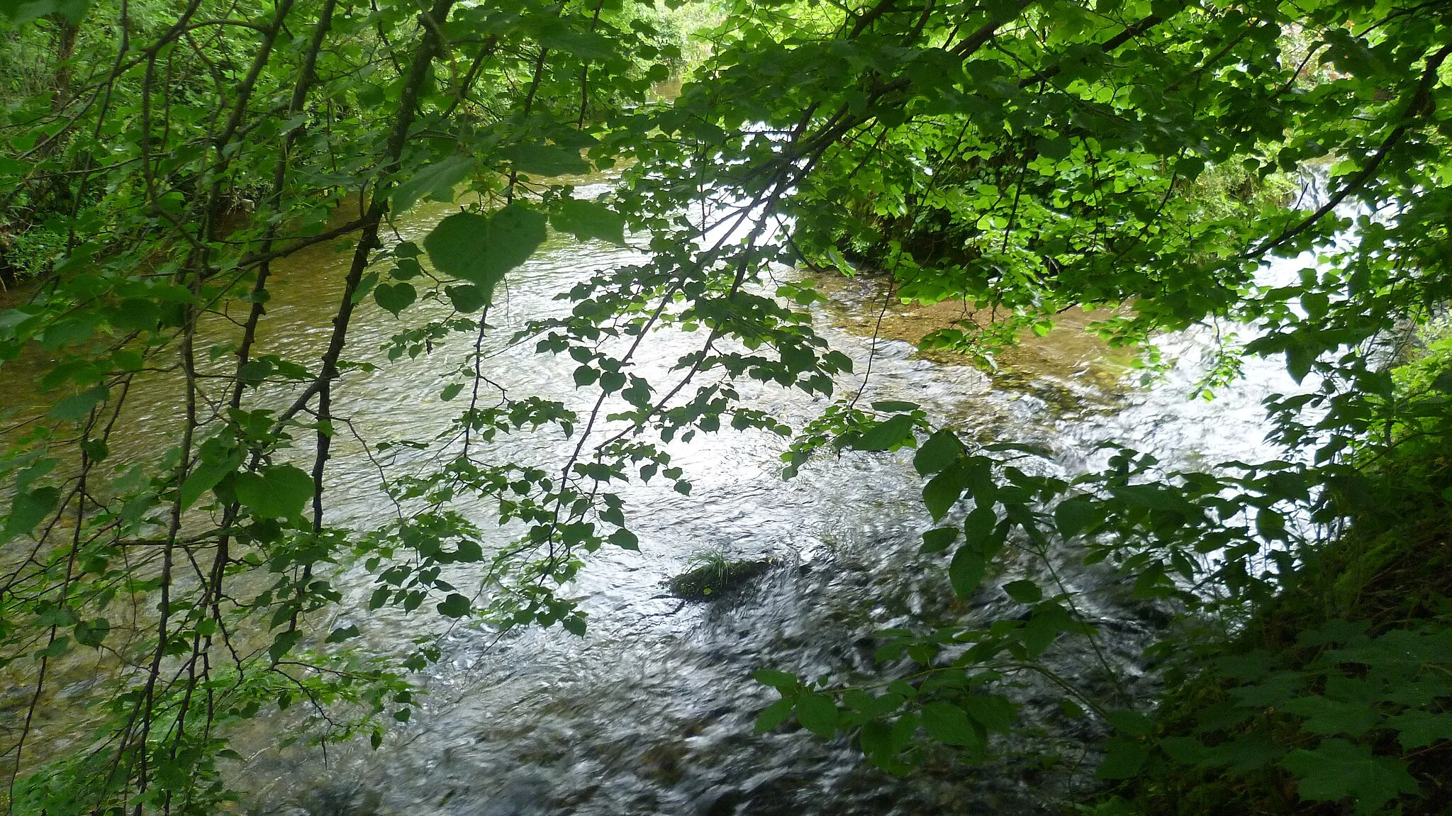 Photo showing: Zusammenfluss von Großwaldbach (hinten) und Falkenseebach (rechts) zur Roten Traun (links)