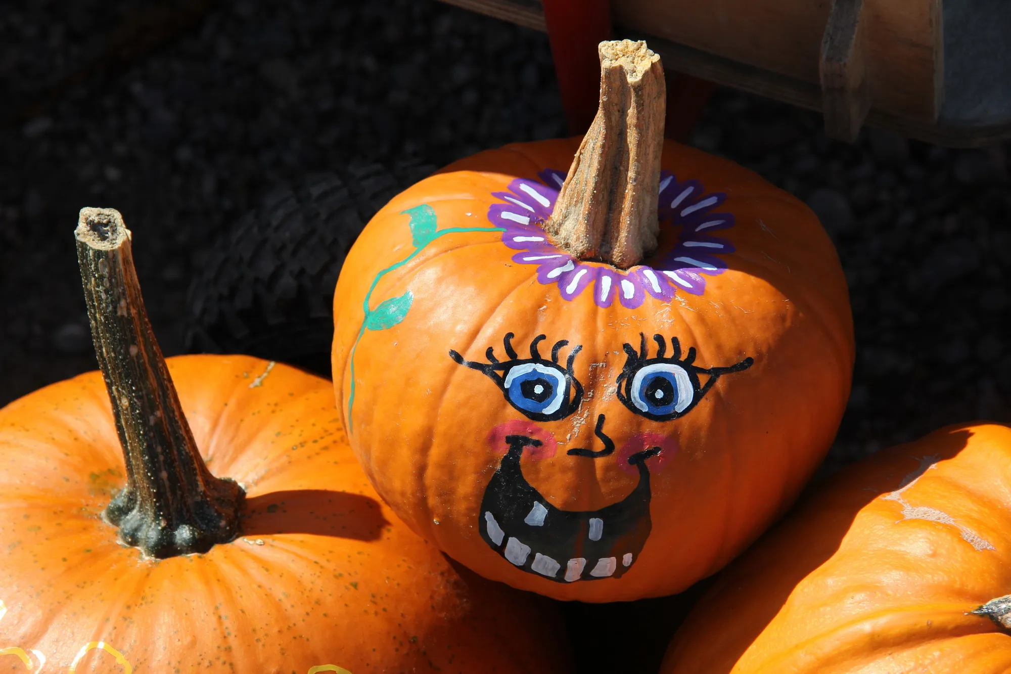 Photo showing: Painted pumpkins in Mering, Bavaria, Bavaria, Germany