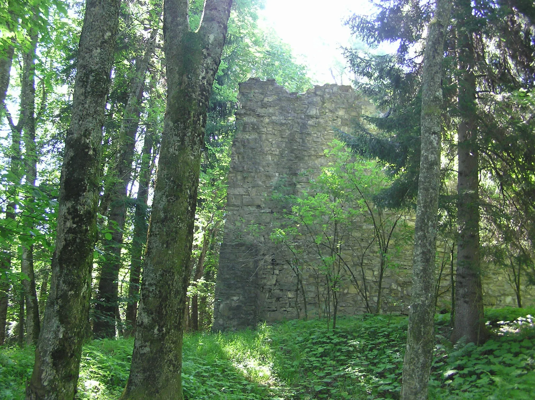 Photo showing: Burgruine Lichtentann-Mauerreste