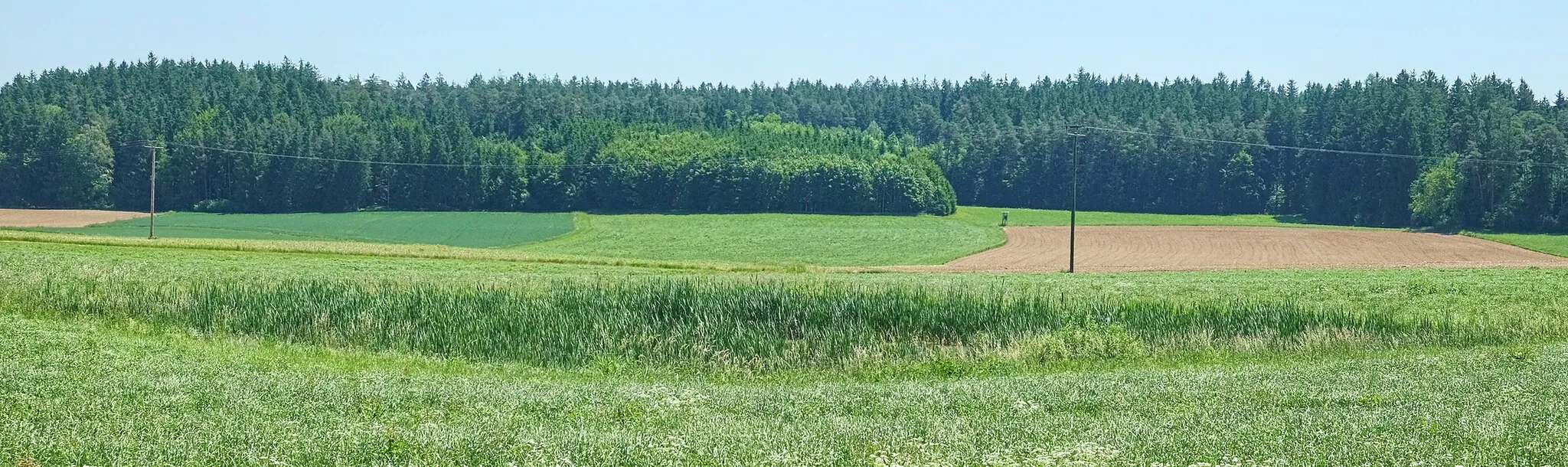 Photo showing: Toteiskessel nördlich Zaiselham, 0,24 ha Kleingewässer, ND-01926 im Lkr. Altötting