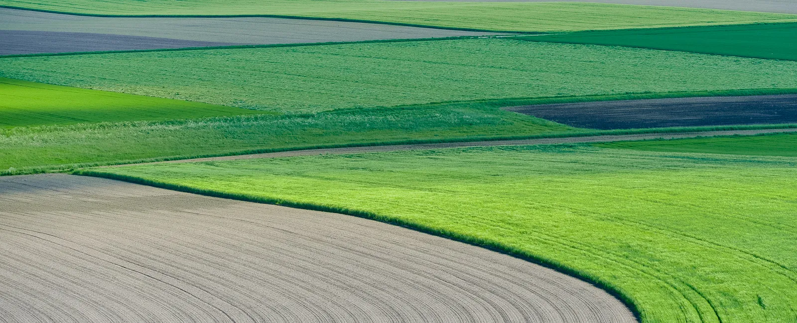 Photo showing: Fields in Bavaria