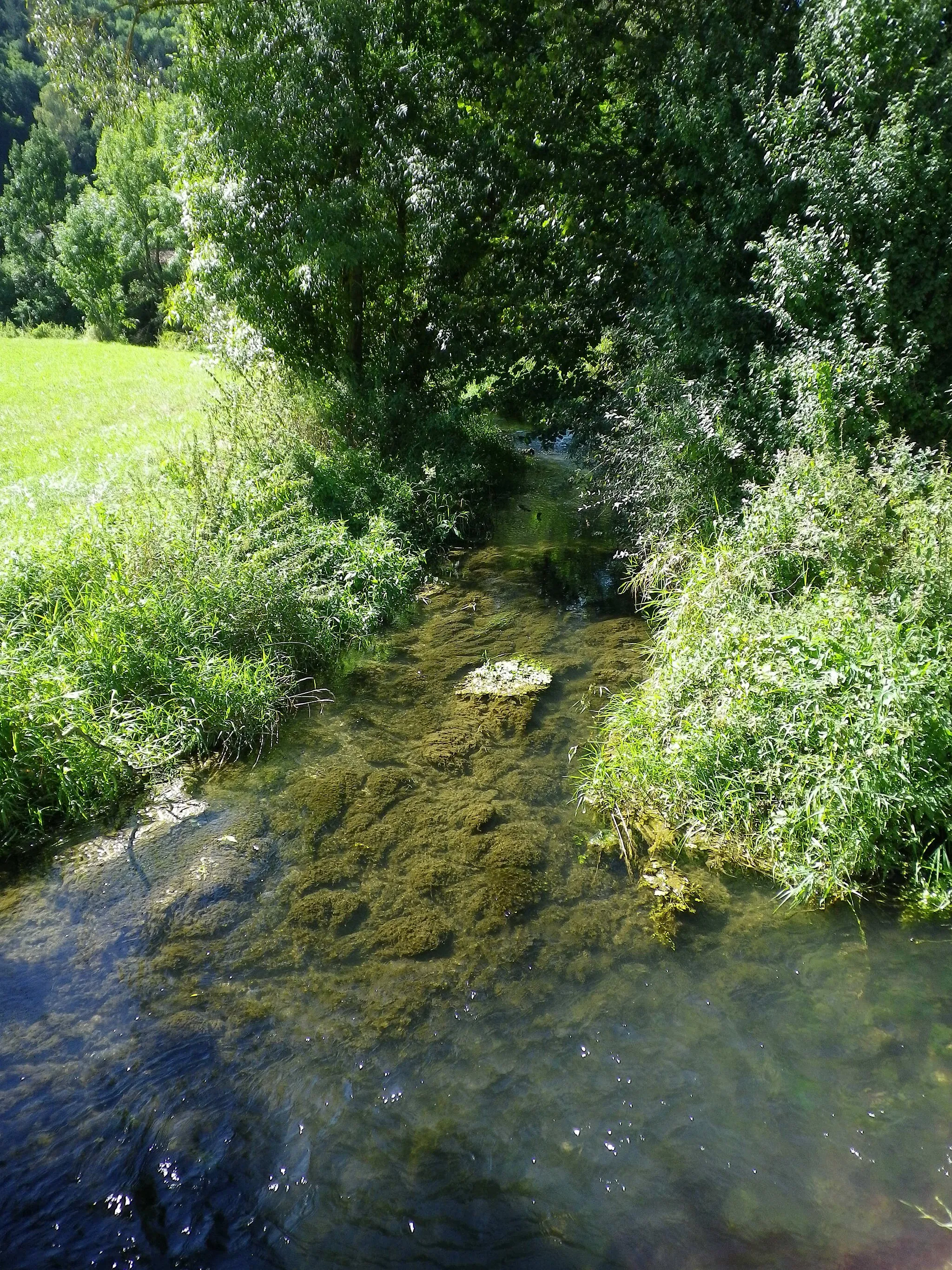 Photo showing: Anlauter in Altdorf (Titting)